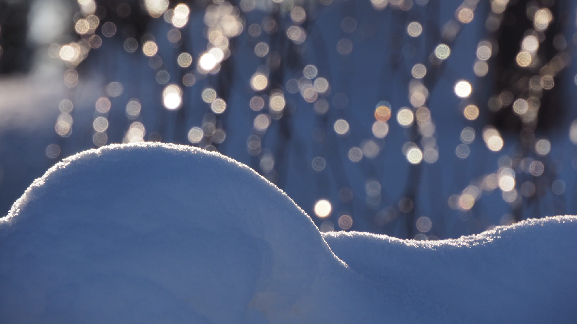 Valokuvaaja: Valtonen Martti