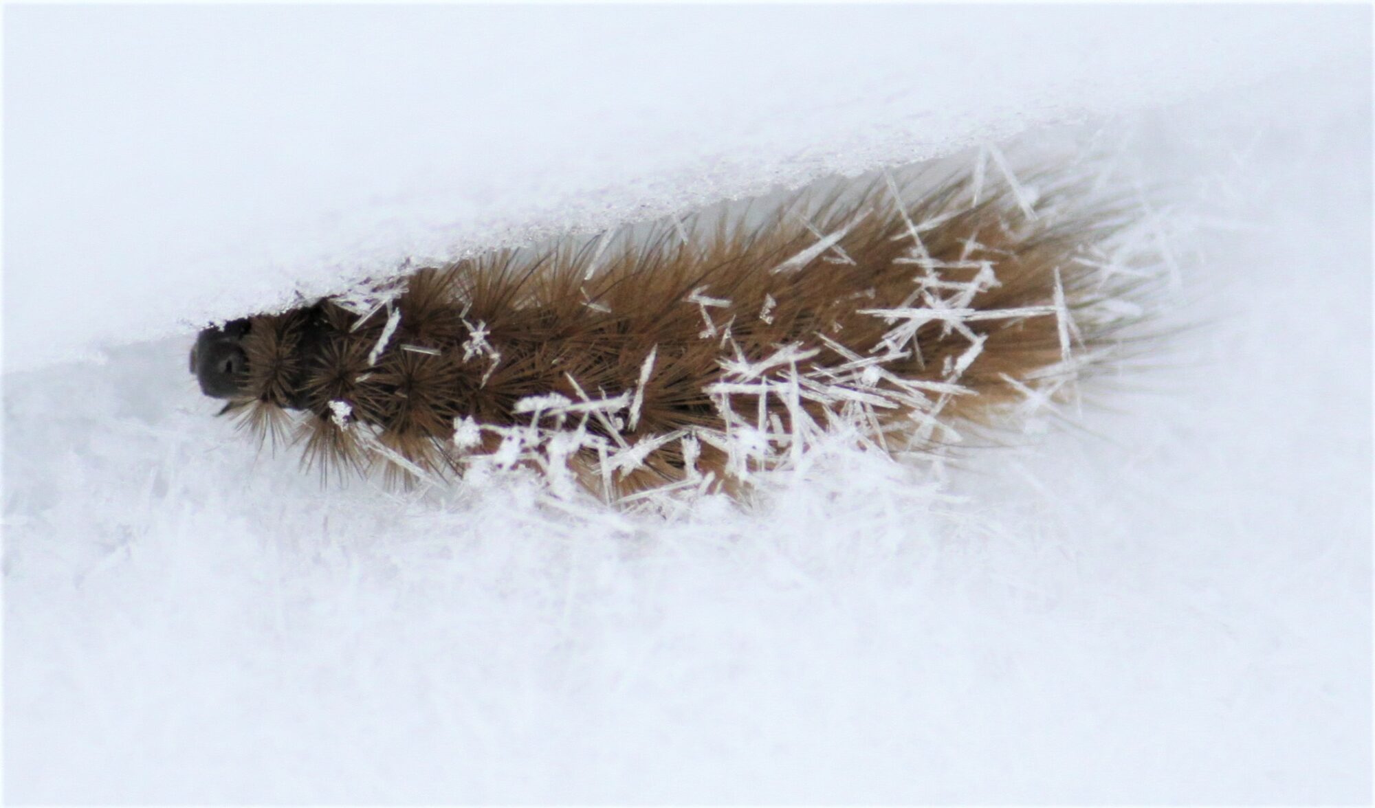 Valokuvaaja: Kaarina Heiskanen Valokuvaaja: Kaarina Heiskanen