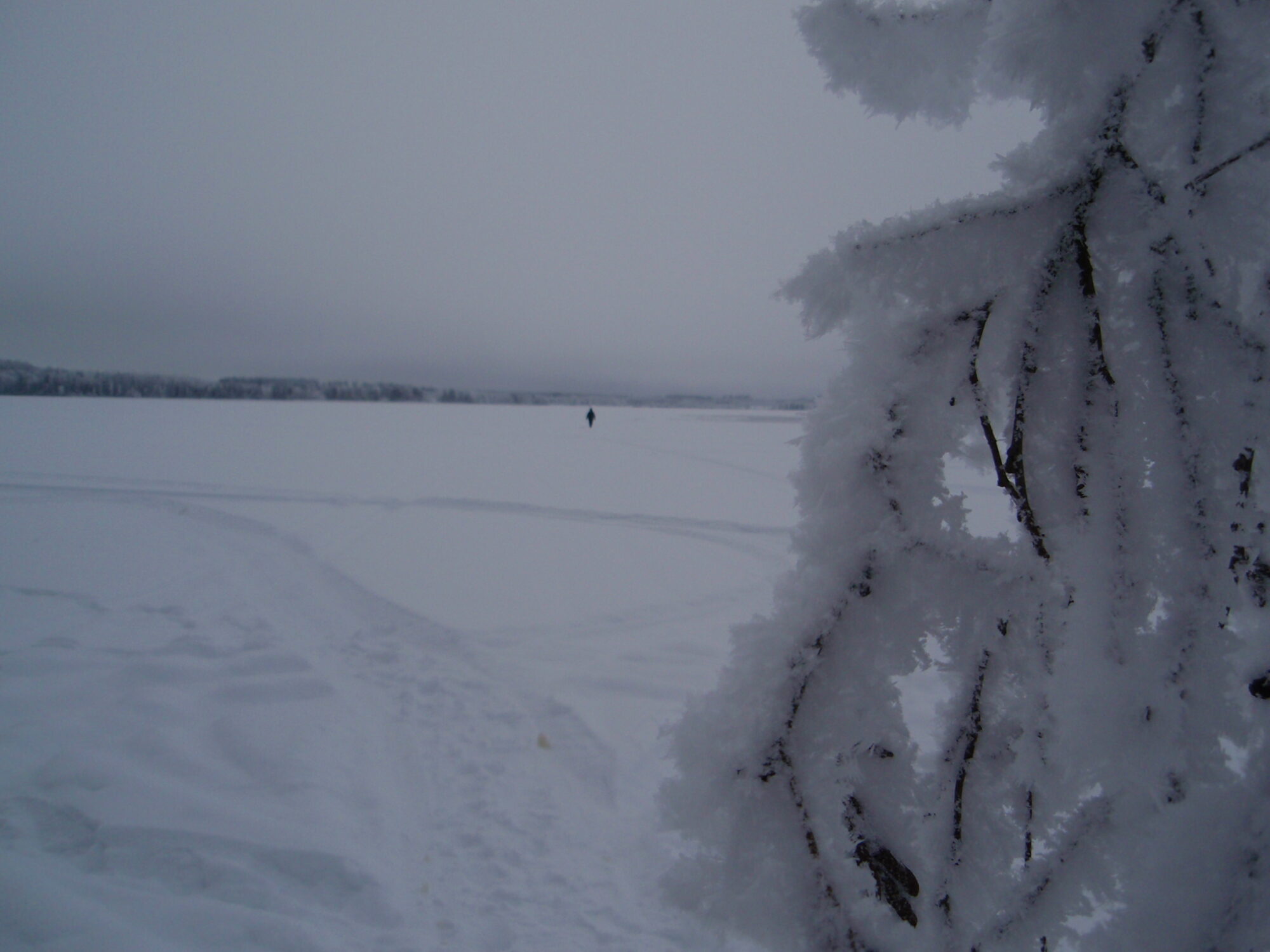Valokuvaaja: rane nuutinen