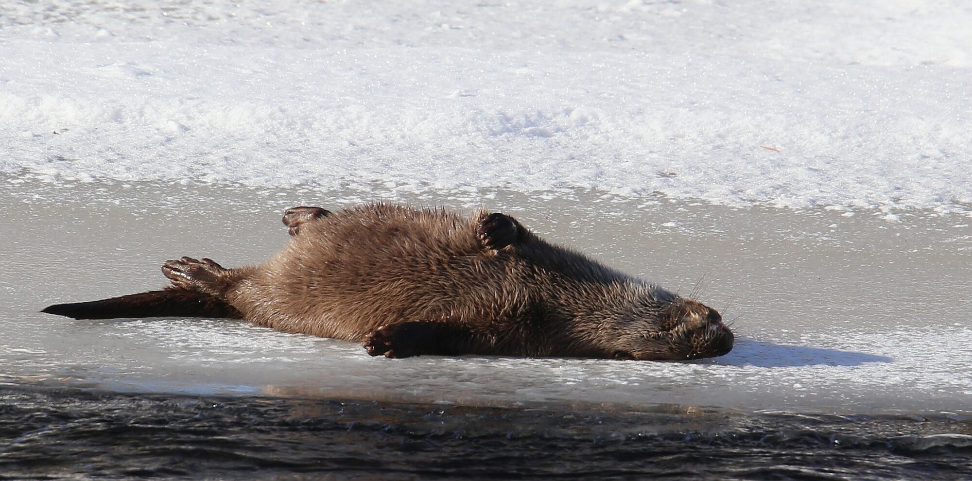 Valokuvaaja: Jaana Saarelainen