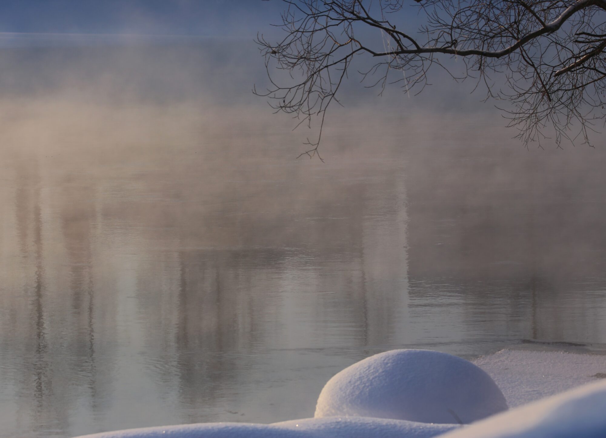 Valokuvaaja: Jaana Saarelainen