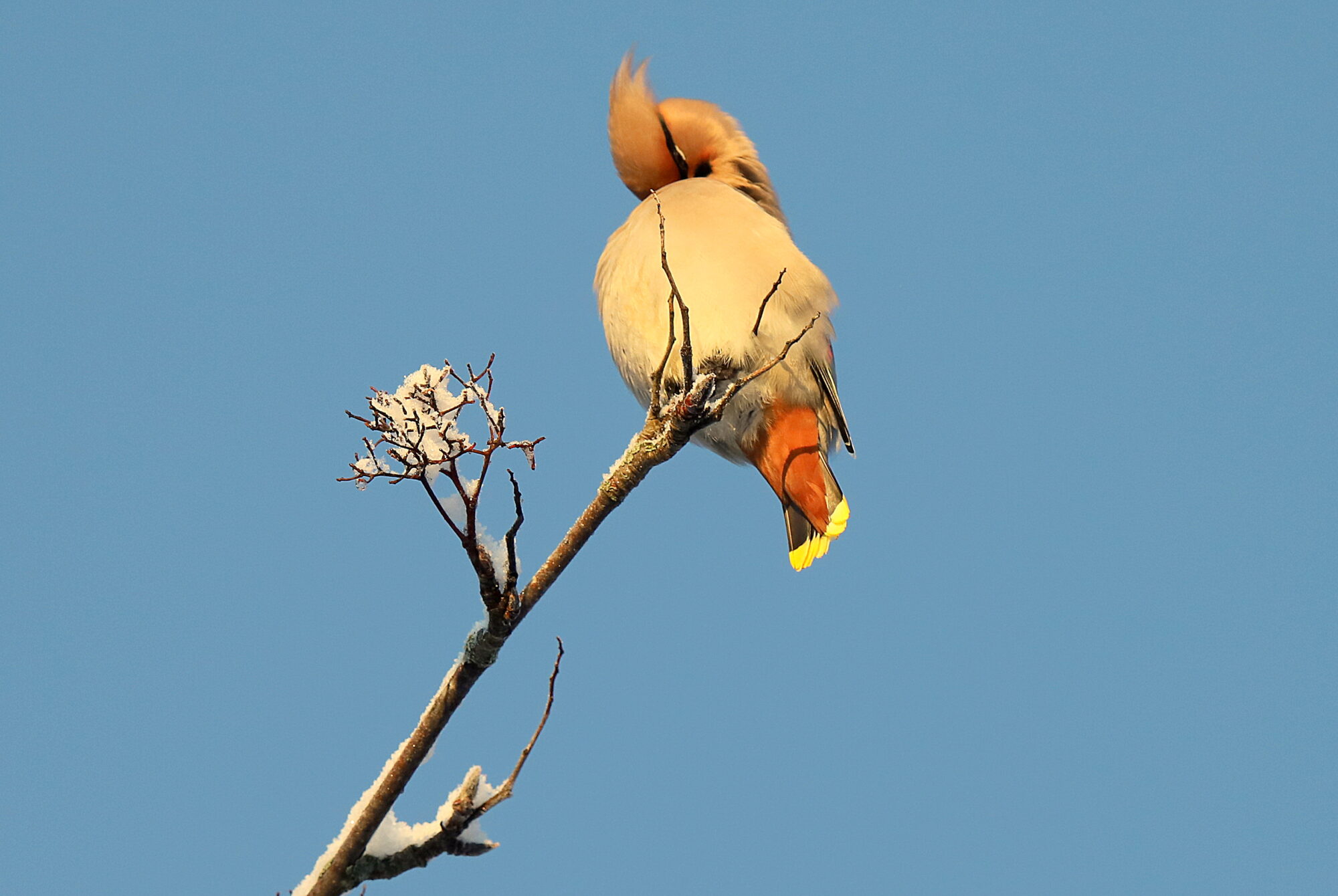 Valokuvaaja: sirpa jyske