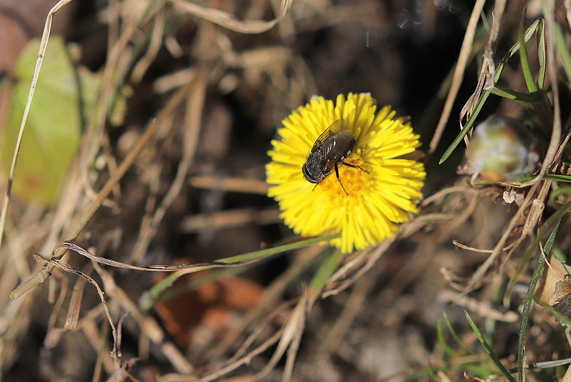Valokuvaaja: sirpa jyske Valokuvaaja: sirpa jyske