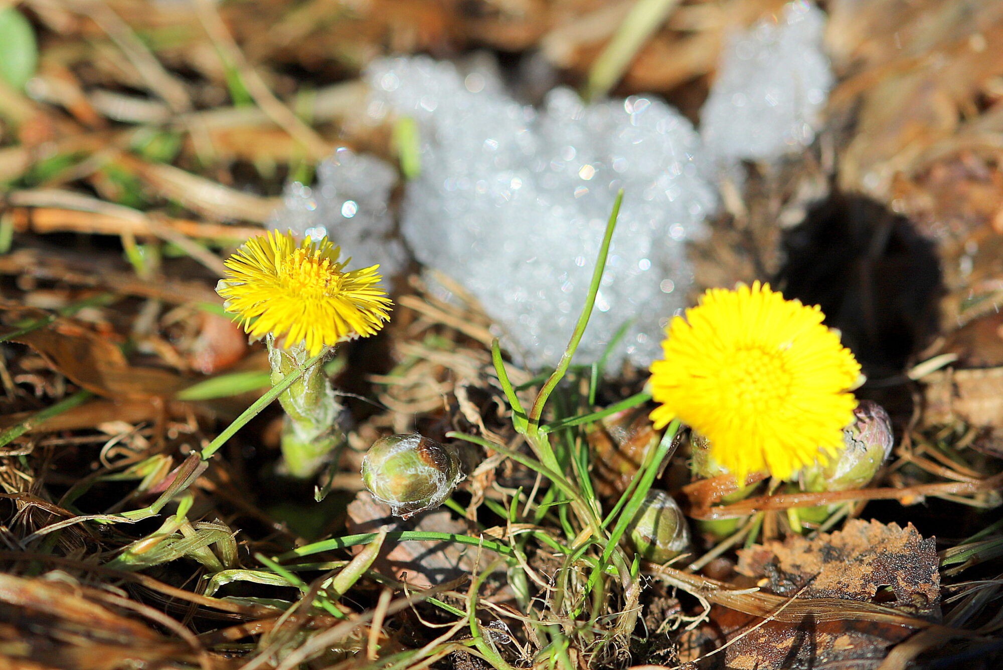 Valokuvaaja: sirpa jyske
