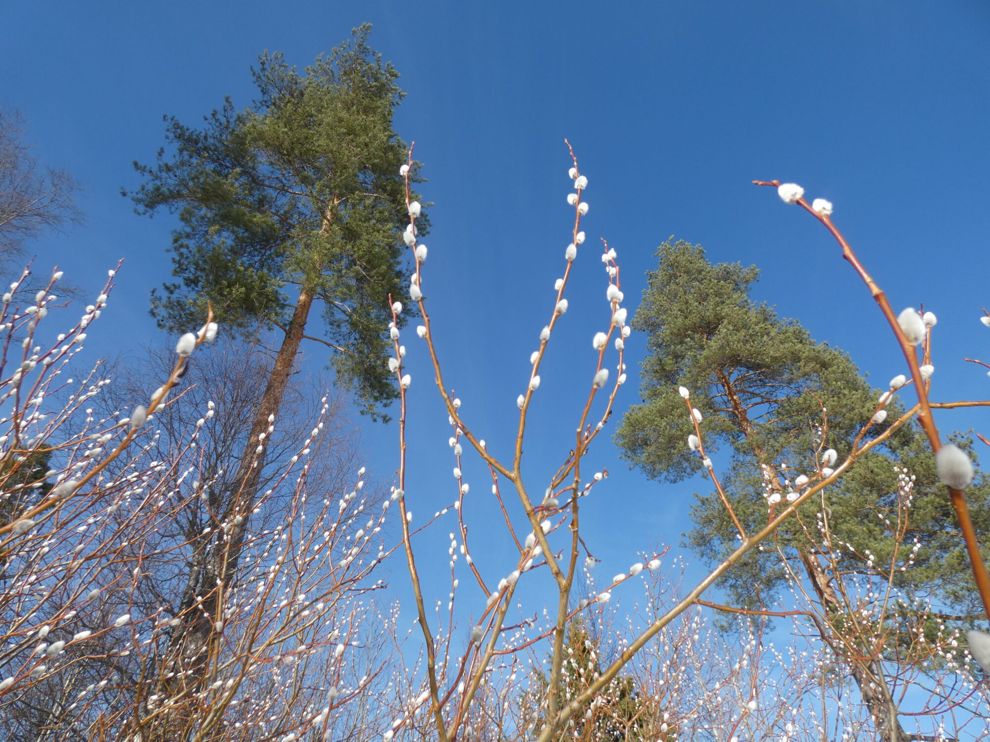Valokuvaaja: Pekka Heino