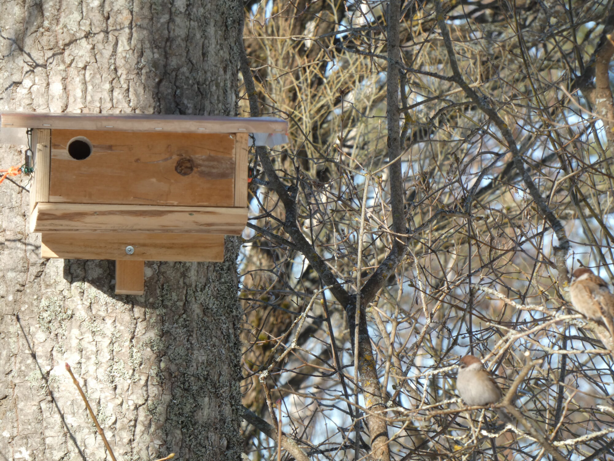 Valokuvaaja: Pekka Heino