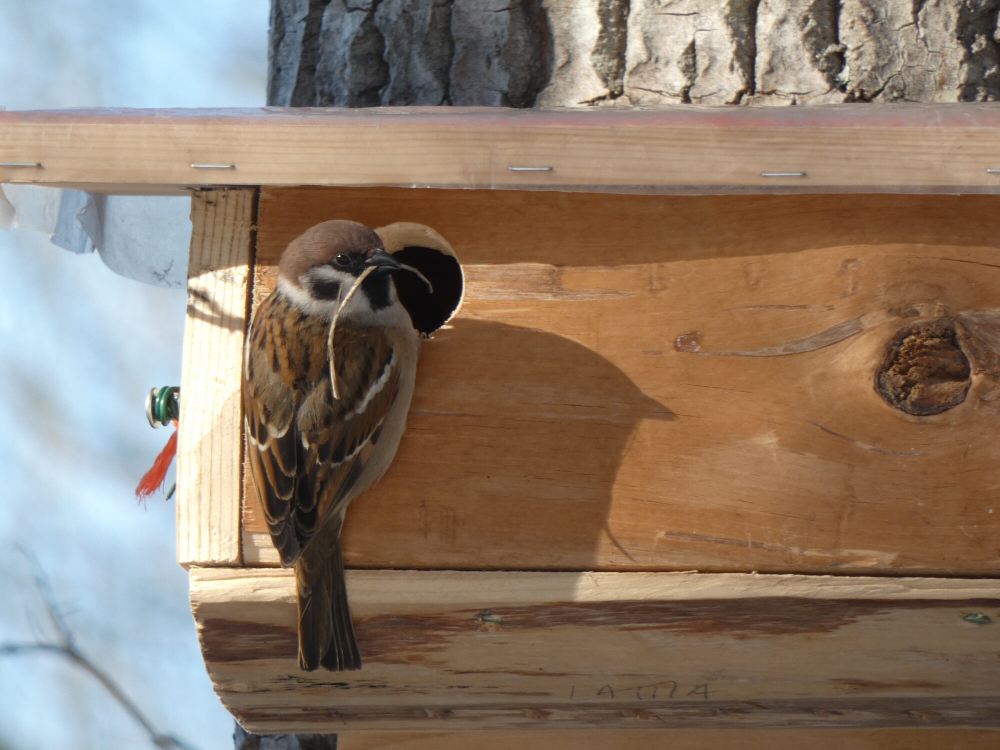 Valokuvaaja: Pekka Heino