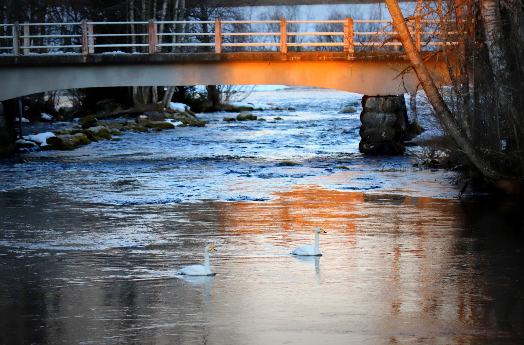 Valokuvaaja: sirpa jyske