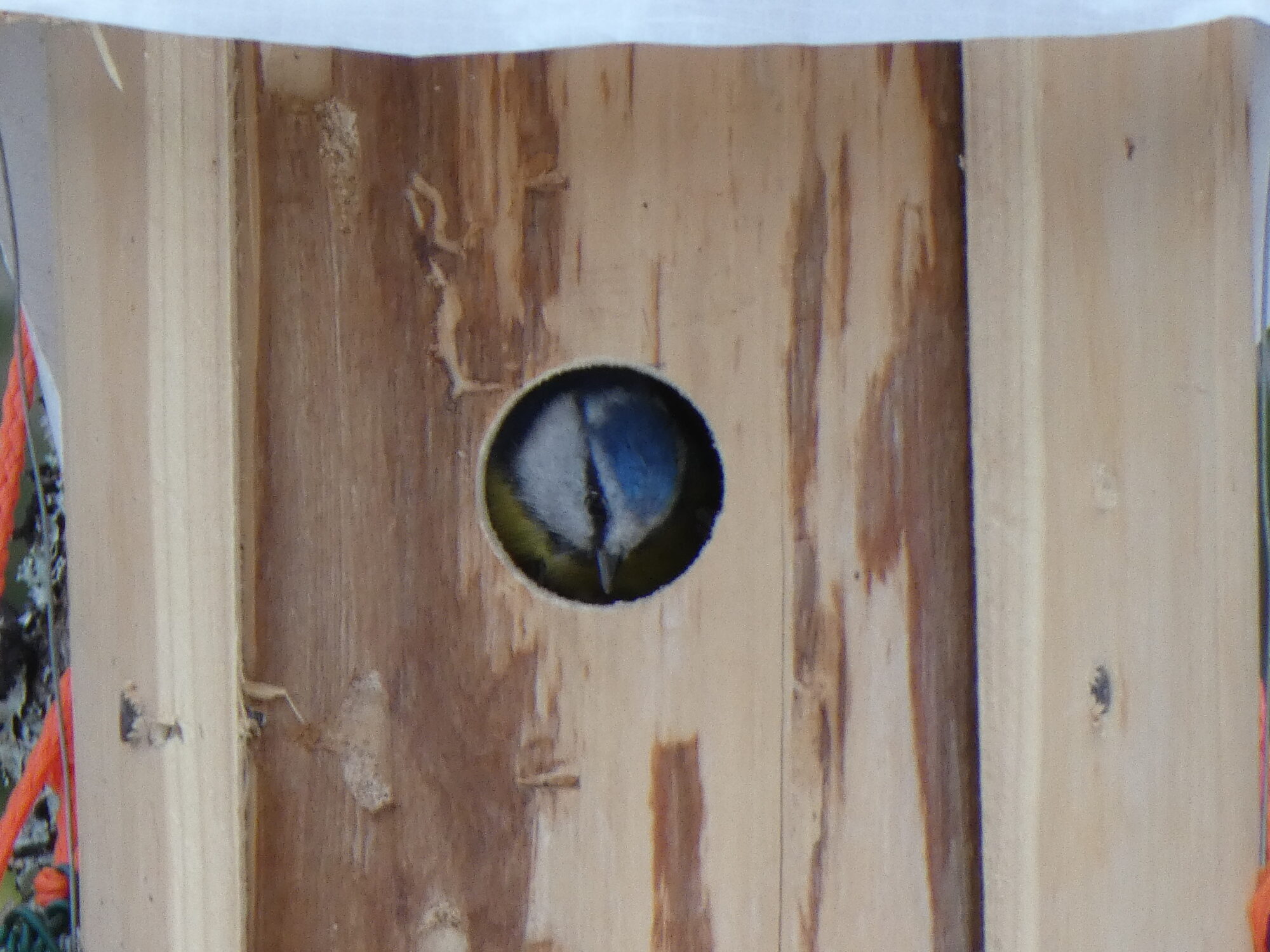 Valokuvaaja: Pekka Heino