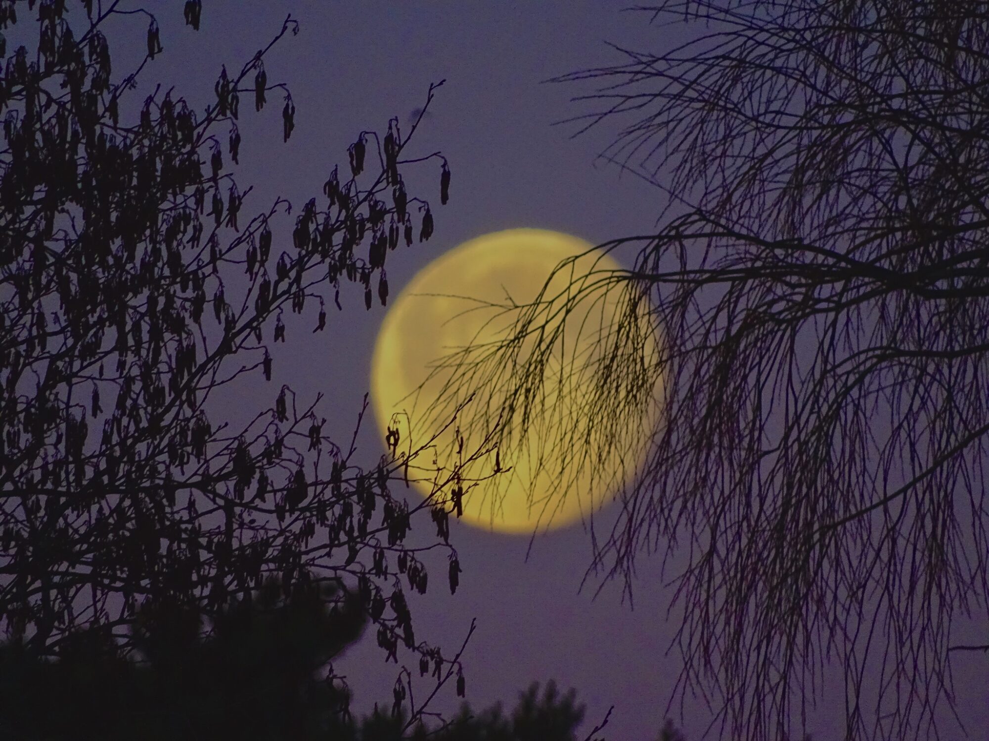 Valokuvaaja: Juhani Peltonen