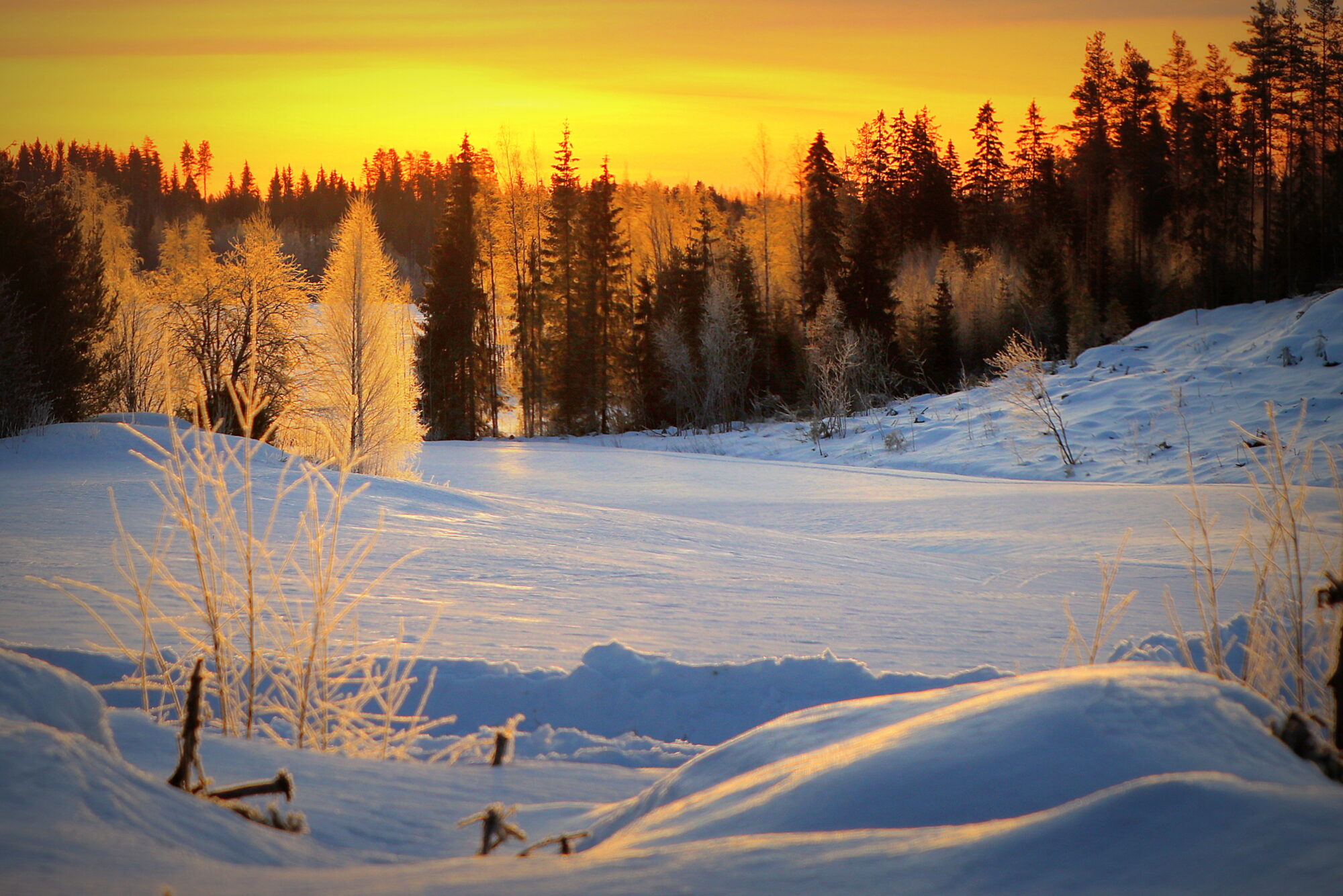 Valokuvaaja: sirpa jyske