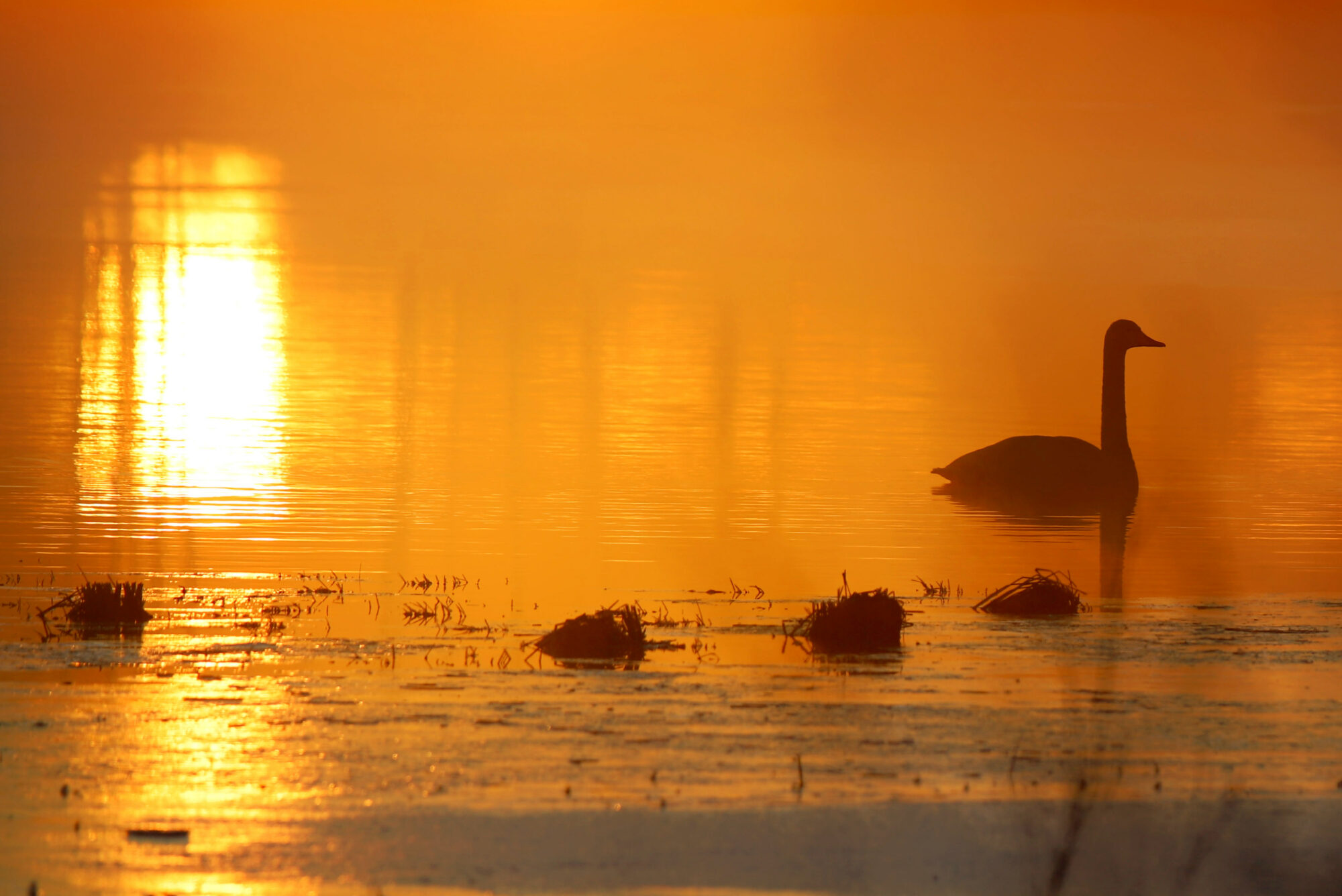 Valokuvaaja: sirpa jyske