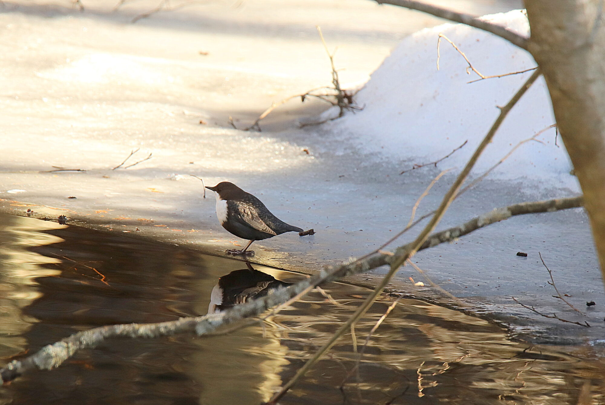 Valokuvaaja: sirpa jyske