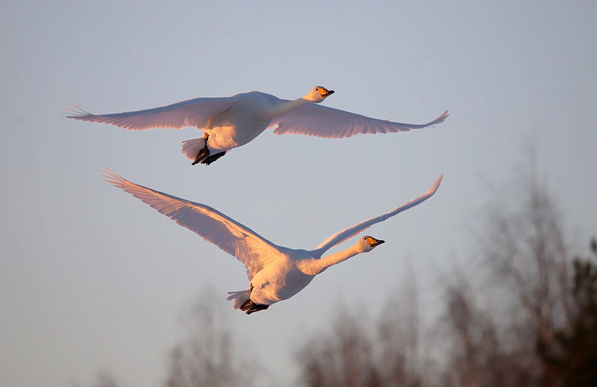 Valokuvaaja: sirpa jyske Valokuvaaja: sirpa jyske