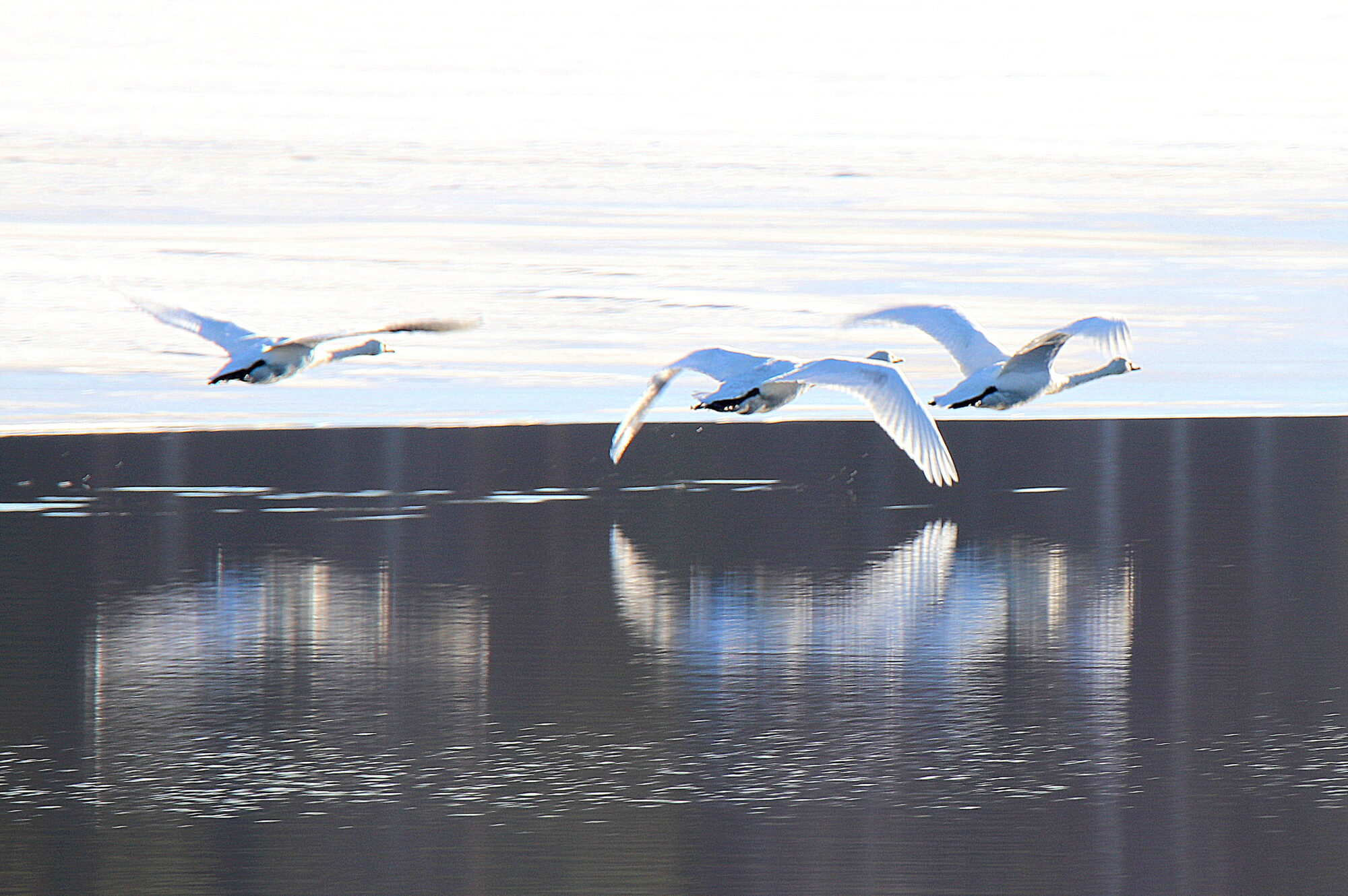 Valokuvaaja: sirpa jyske