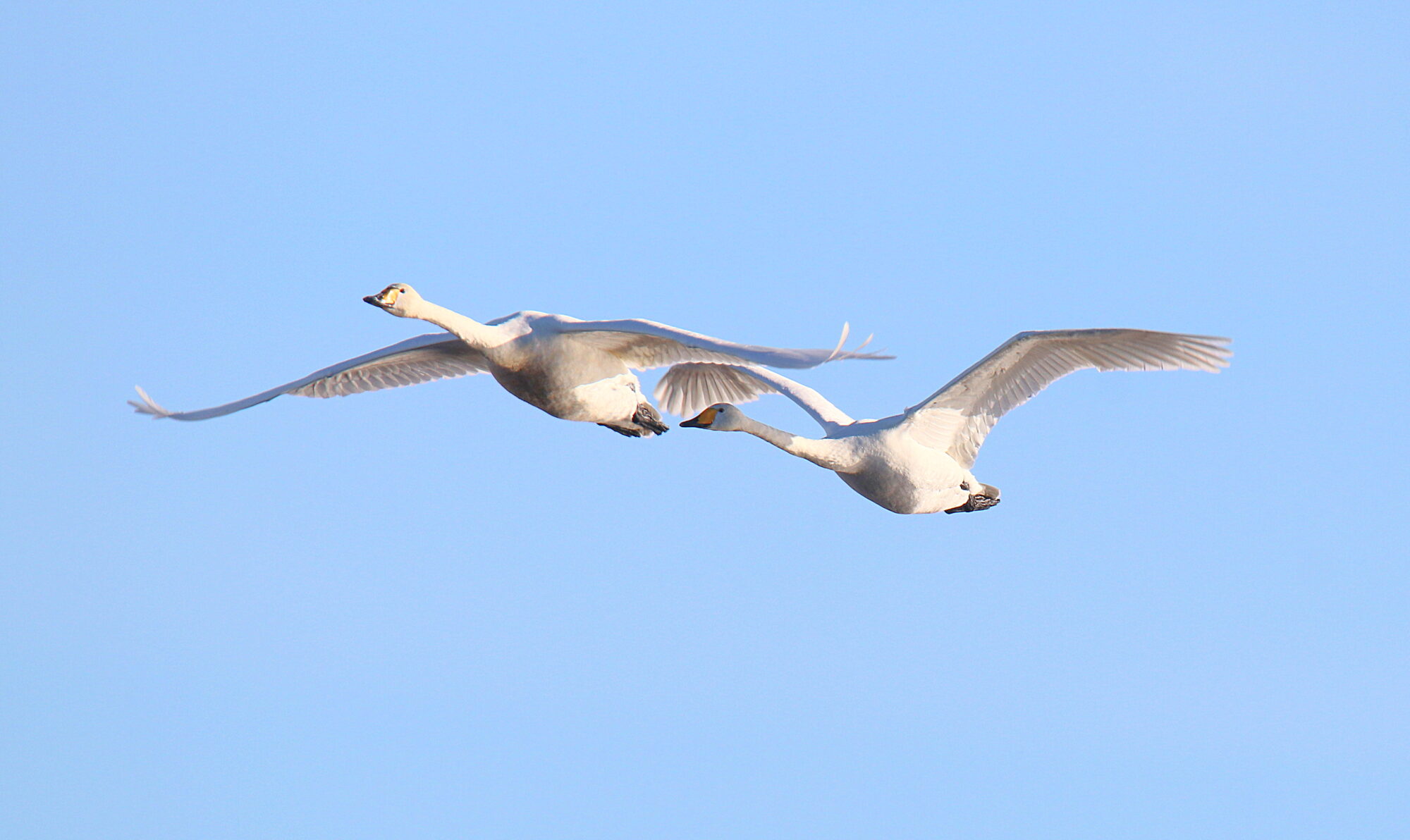 Valokuvaaja: sirpa jyske