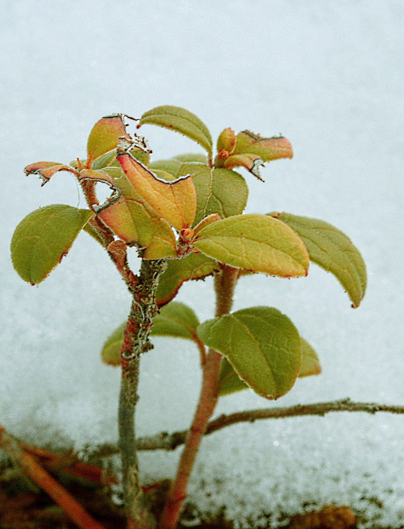 Valokuvaaja: Ritva Nieminen Valokuvaaja: Ritva Nieminen