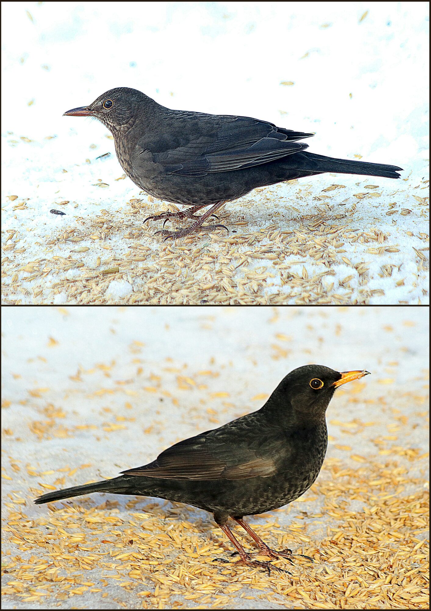 Valokuvaaja: Hannu Rasiranta