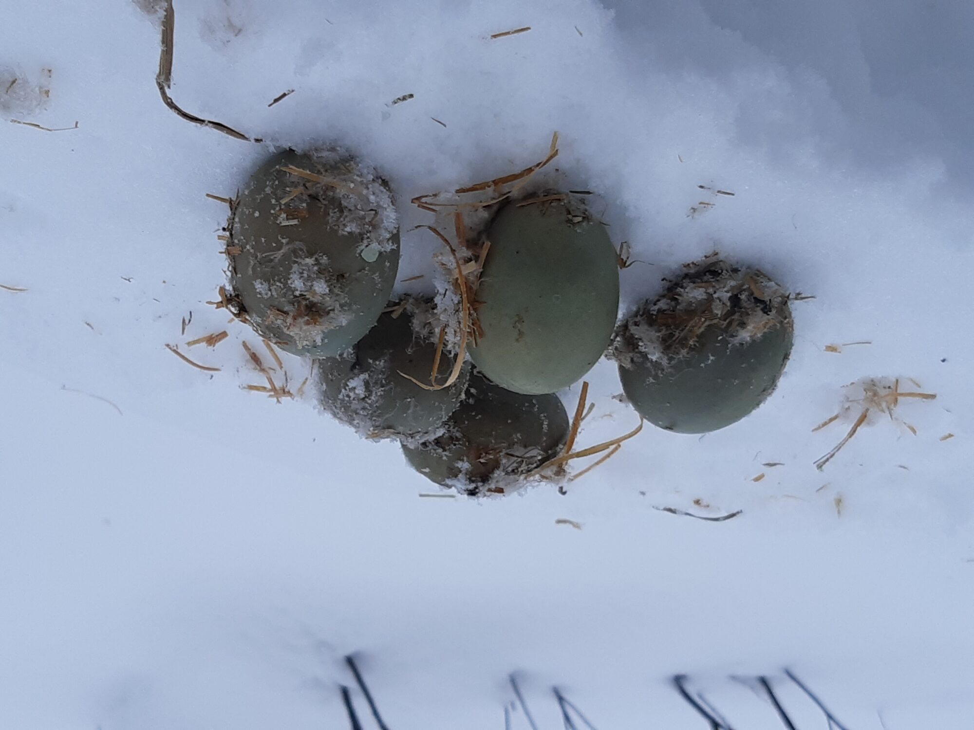 Valokuvaaja: Lahja Toivanen