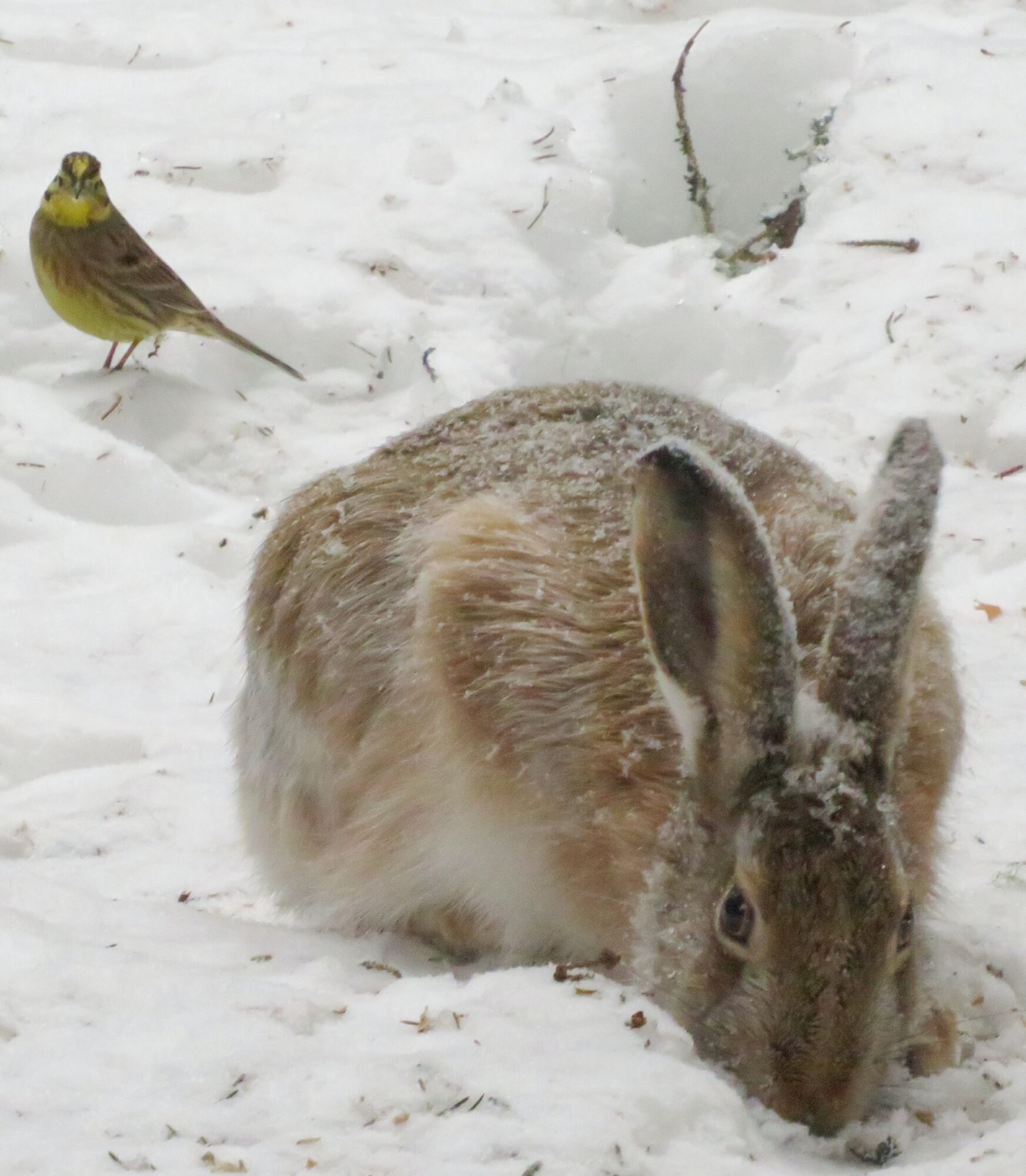 Valokuvaaja: Kaarina Walter