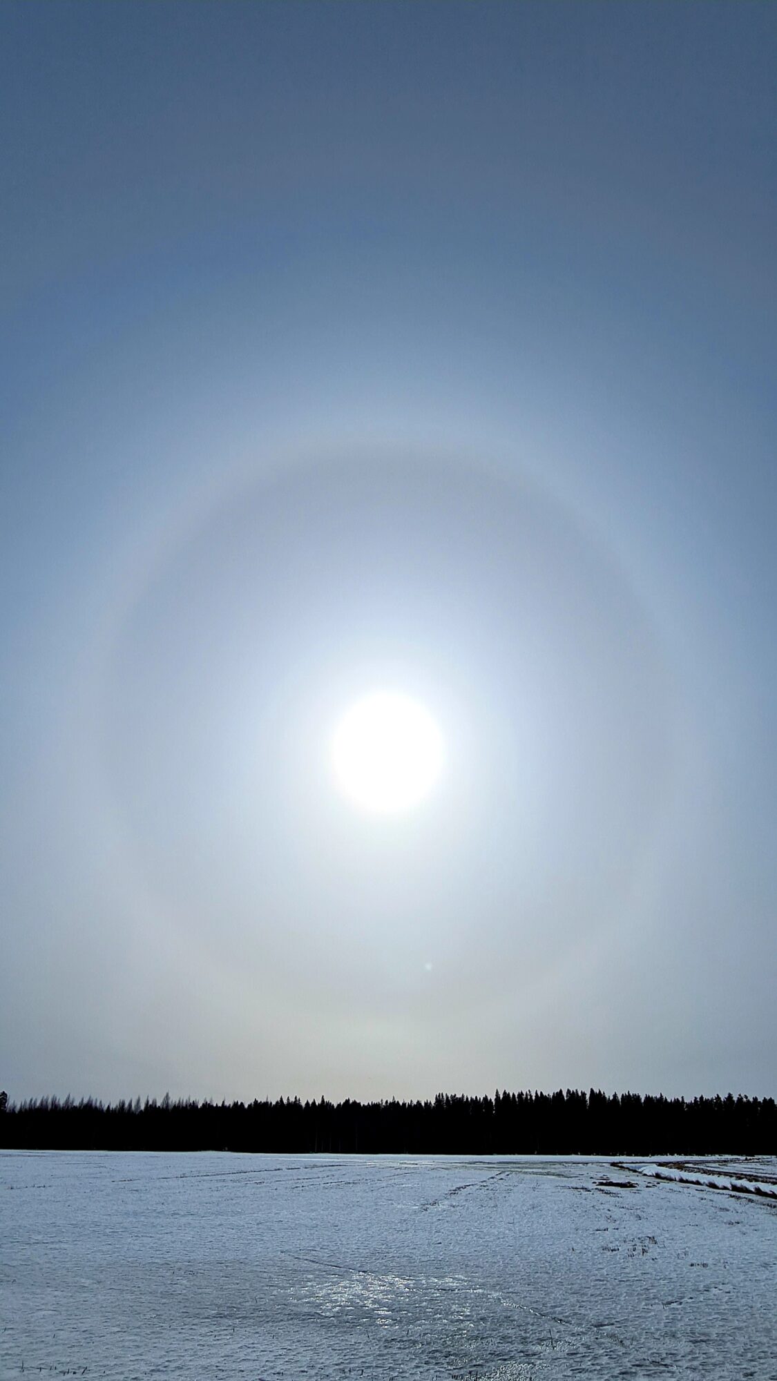 Valokuvaaja: Kaarina Walter