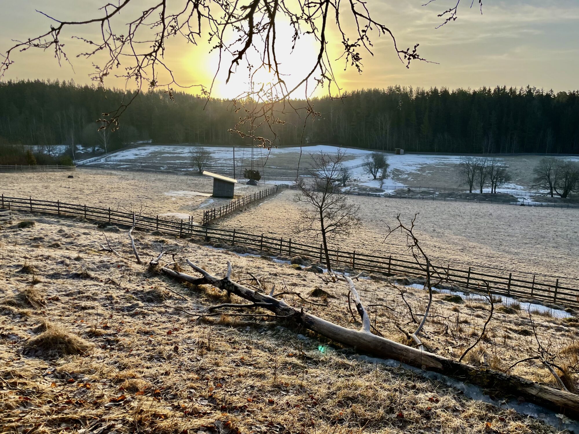 Valokuvaaja: Juhani Peltonen