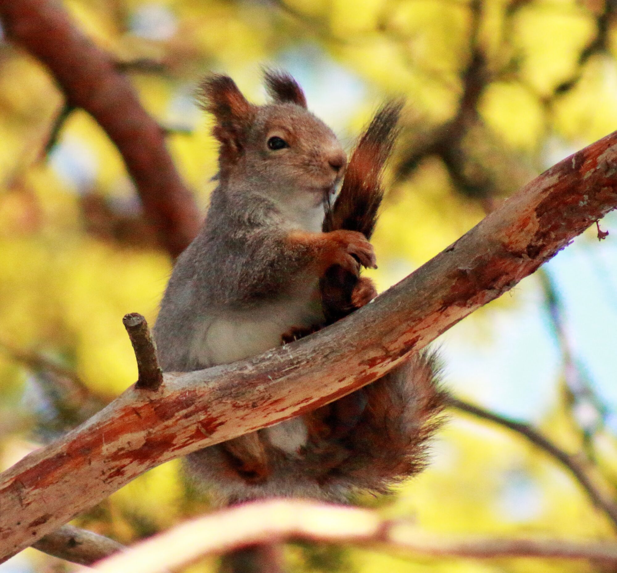 Valokuvaaja: Matti Mattas