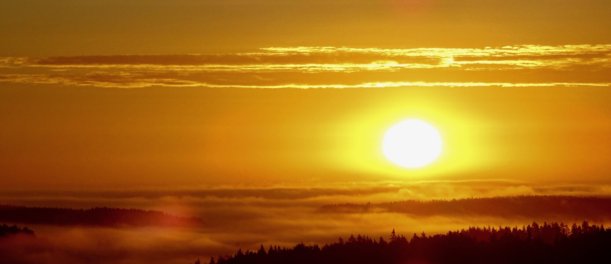 Valokuvaaja: Juhani Peltonen