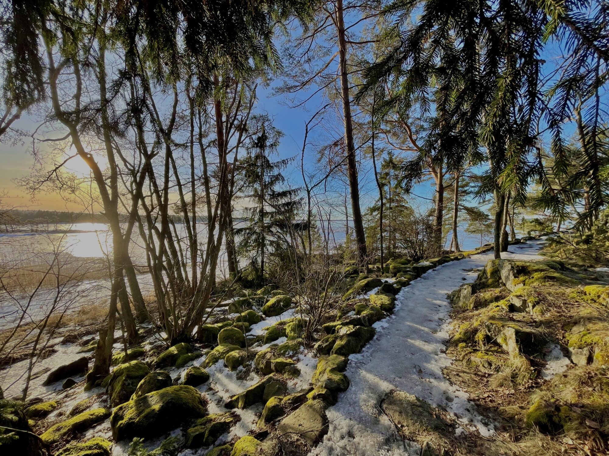 Valokuvaaja: Juhani Peltonen Valokuvaaja: Juhani Peltonen