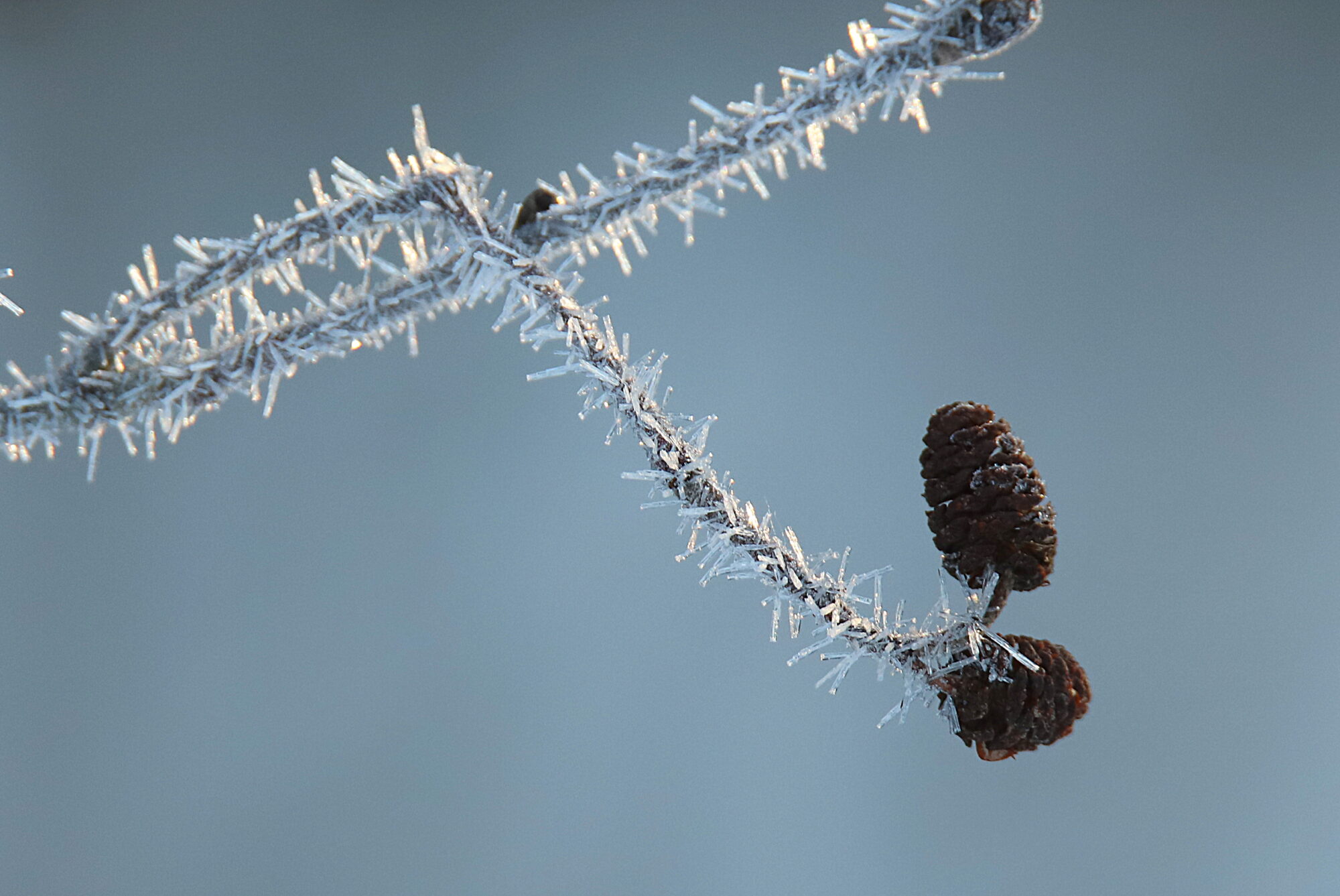Valokuvaaja: sirpa jyske