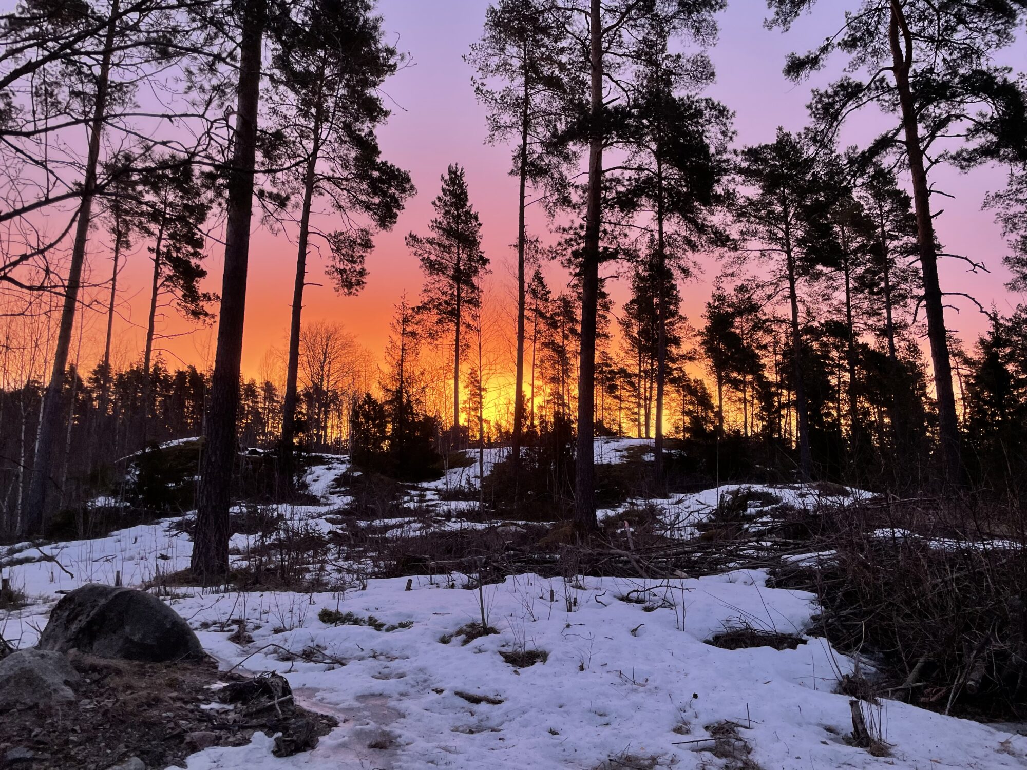Valokuvaaja: Juhani Peltonen