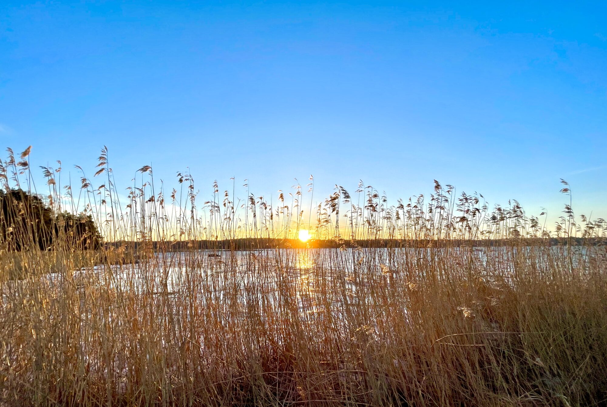 Valokuvaaja: Juhani Peltonen
