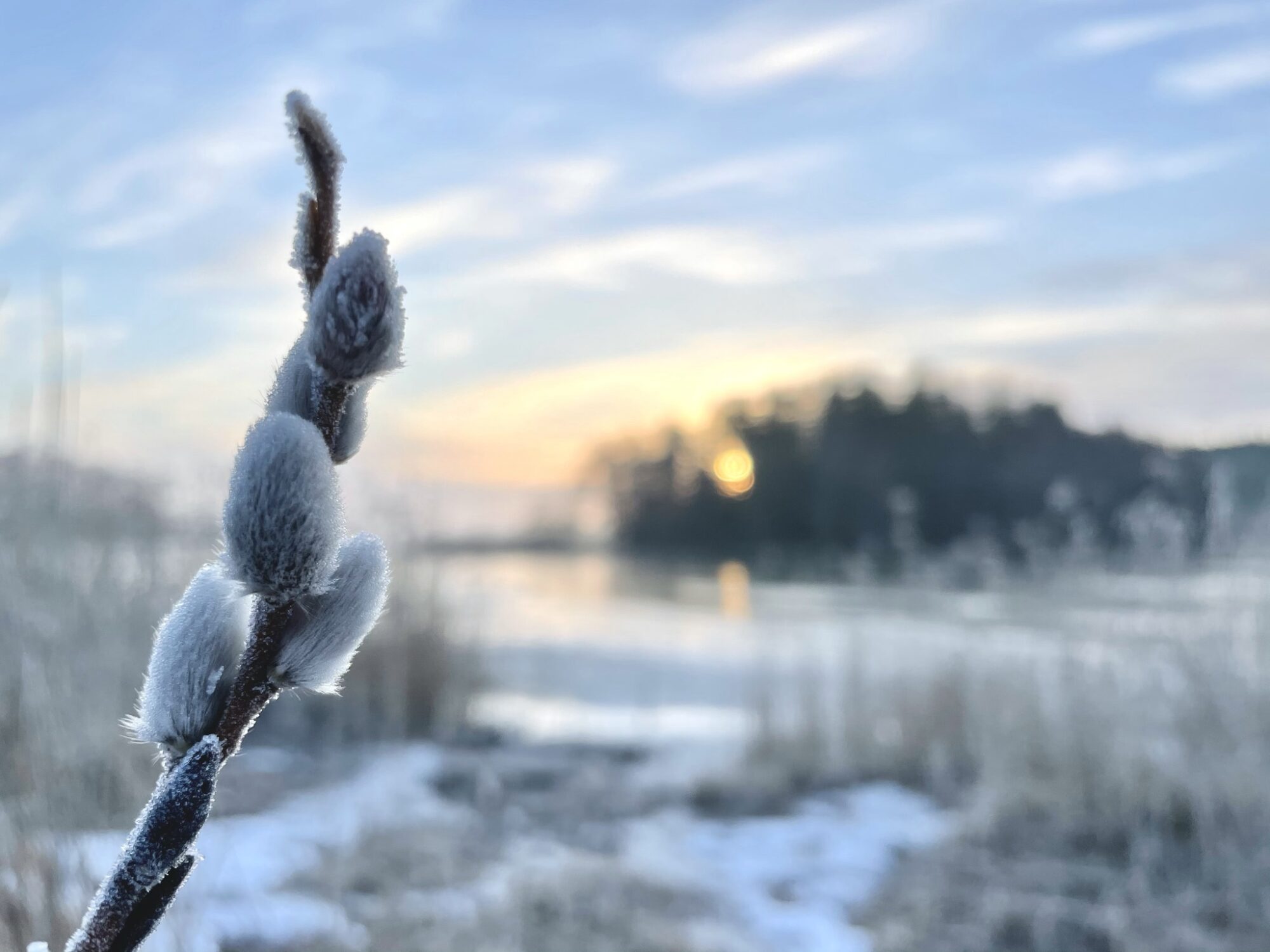 Valokuvaaja: Juhani Peltonen Valokuvaaja: Juhani Peltonen