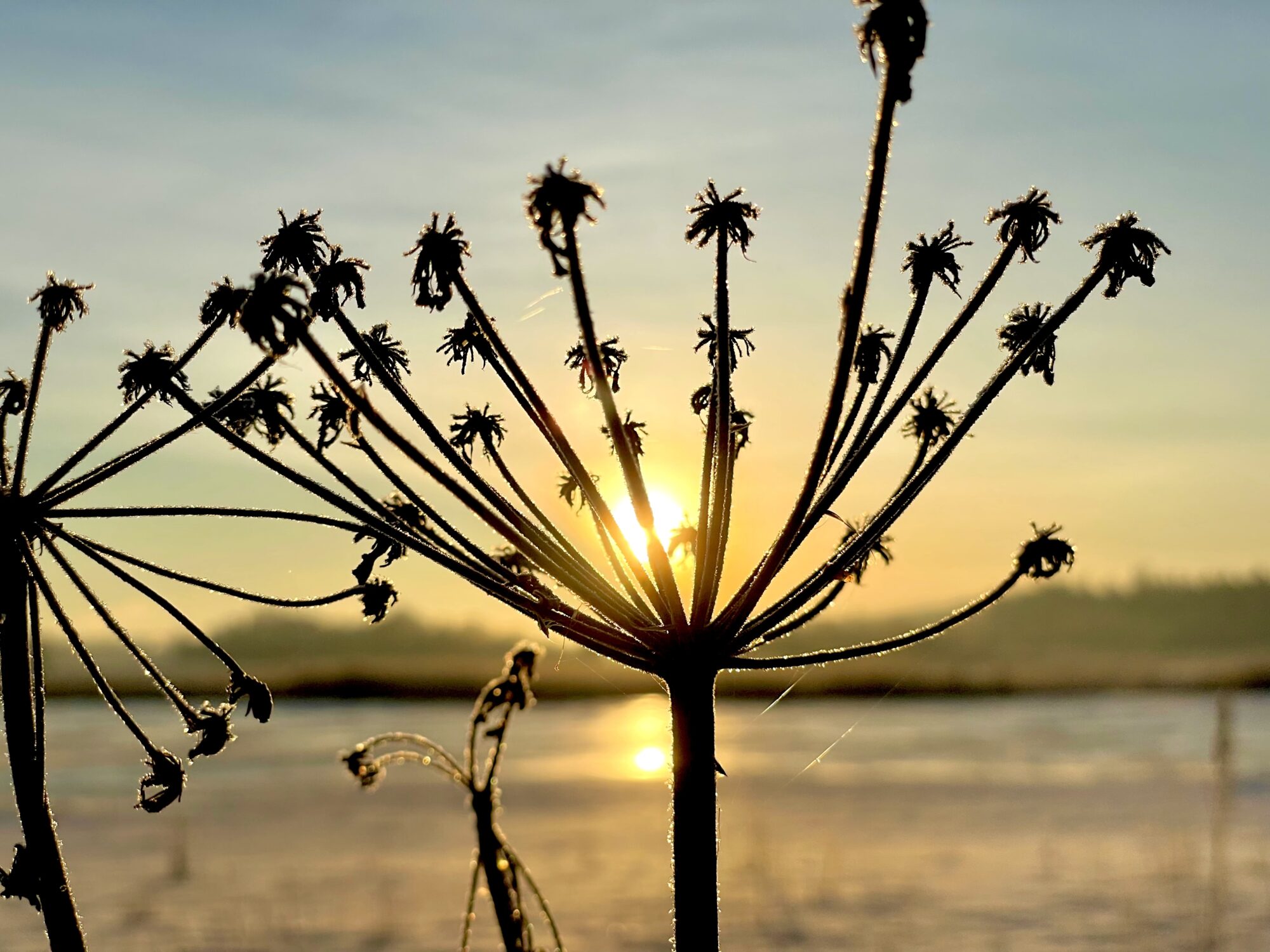 Valokuvaaja: Juhani Peltonen