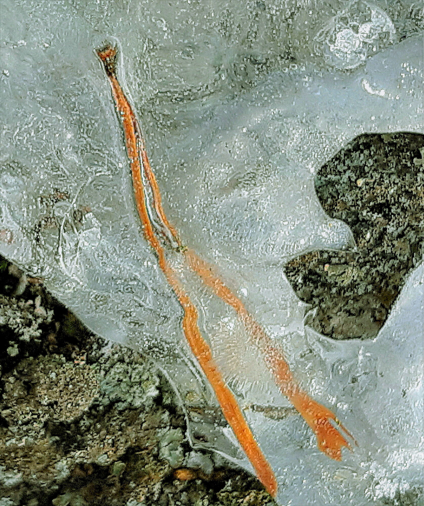 Valokuvaaja: Ritva Nieminen