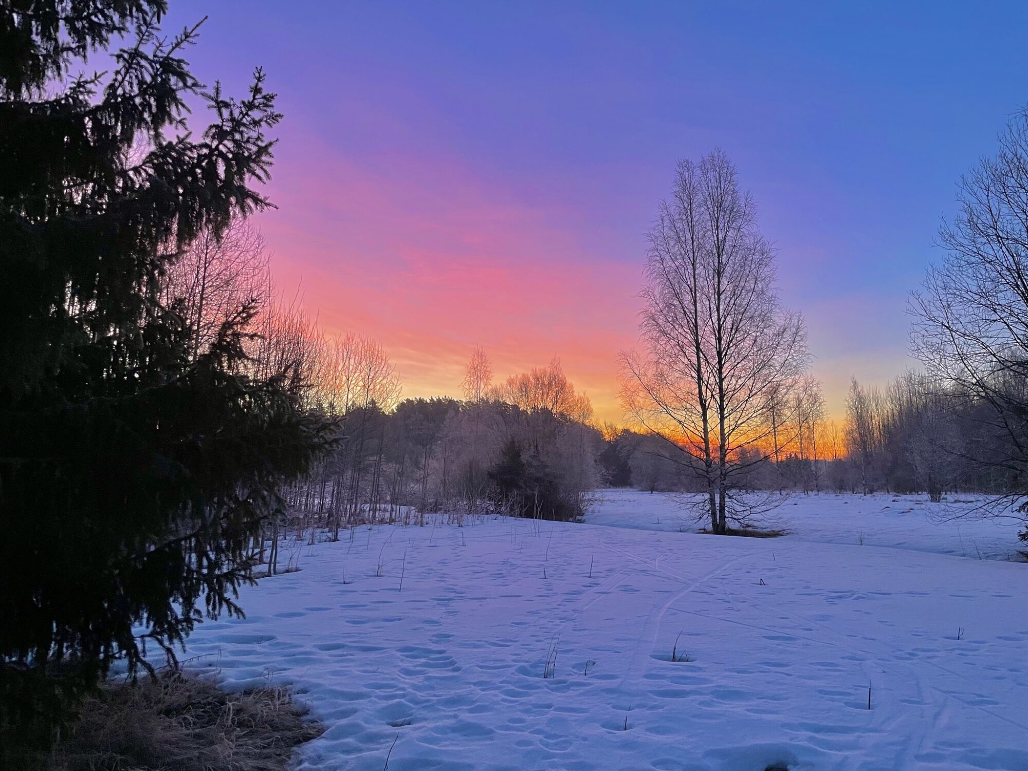 Valokuvaaja: Juhani Peltonen