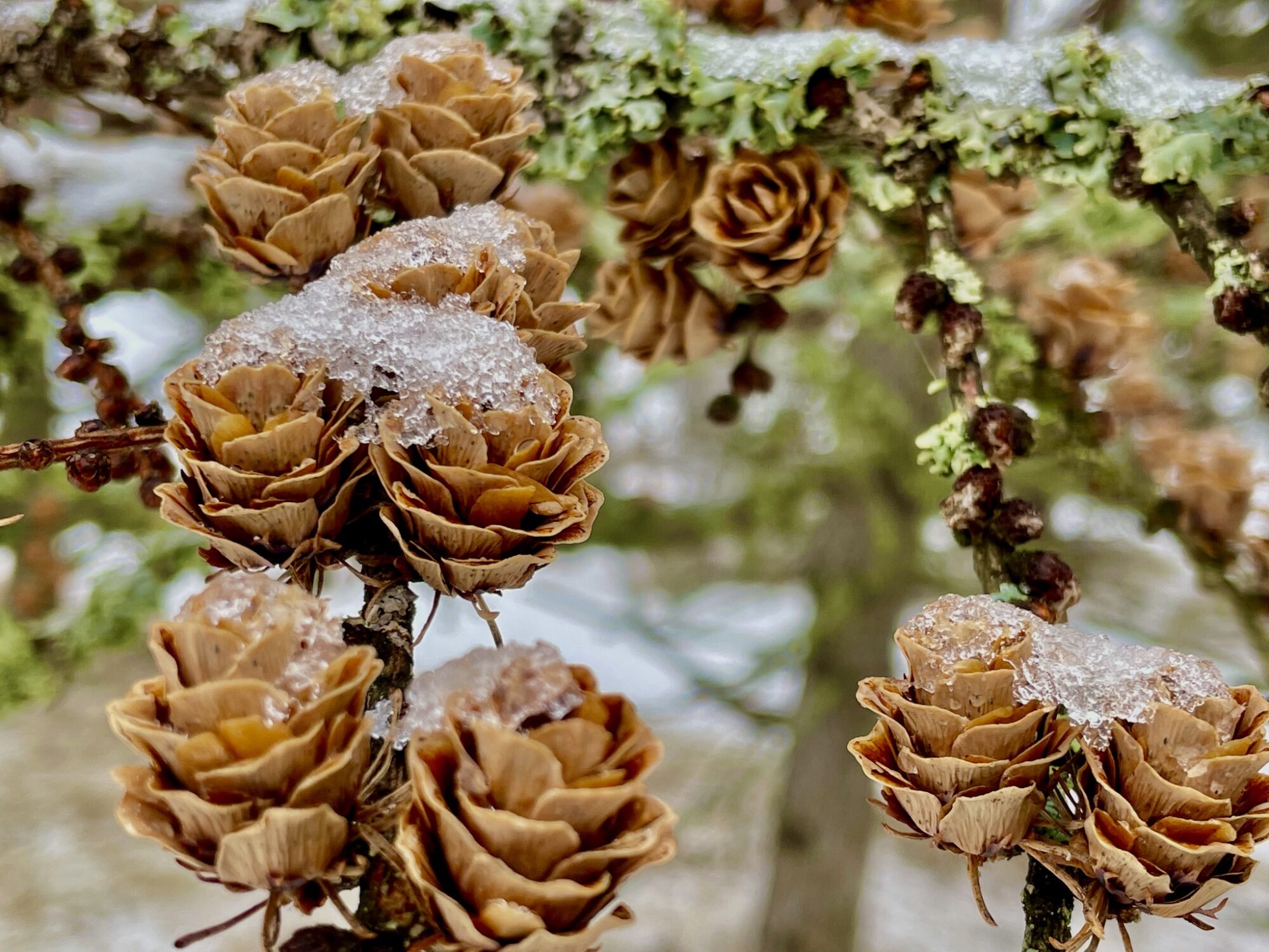 Valokuvaaja: Juhani Peltonen