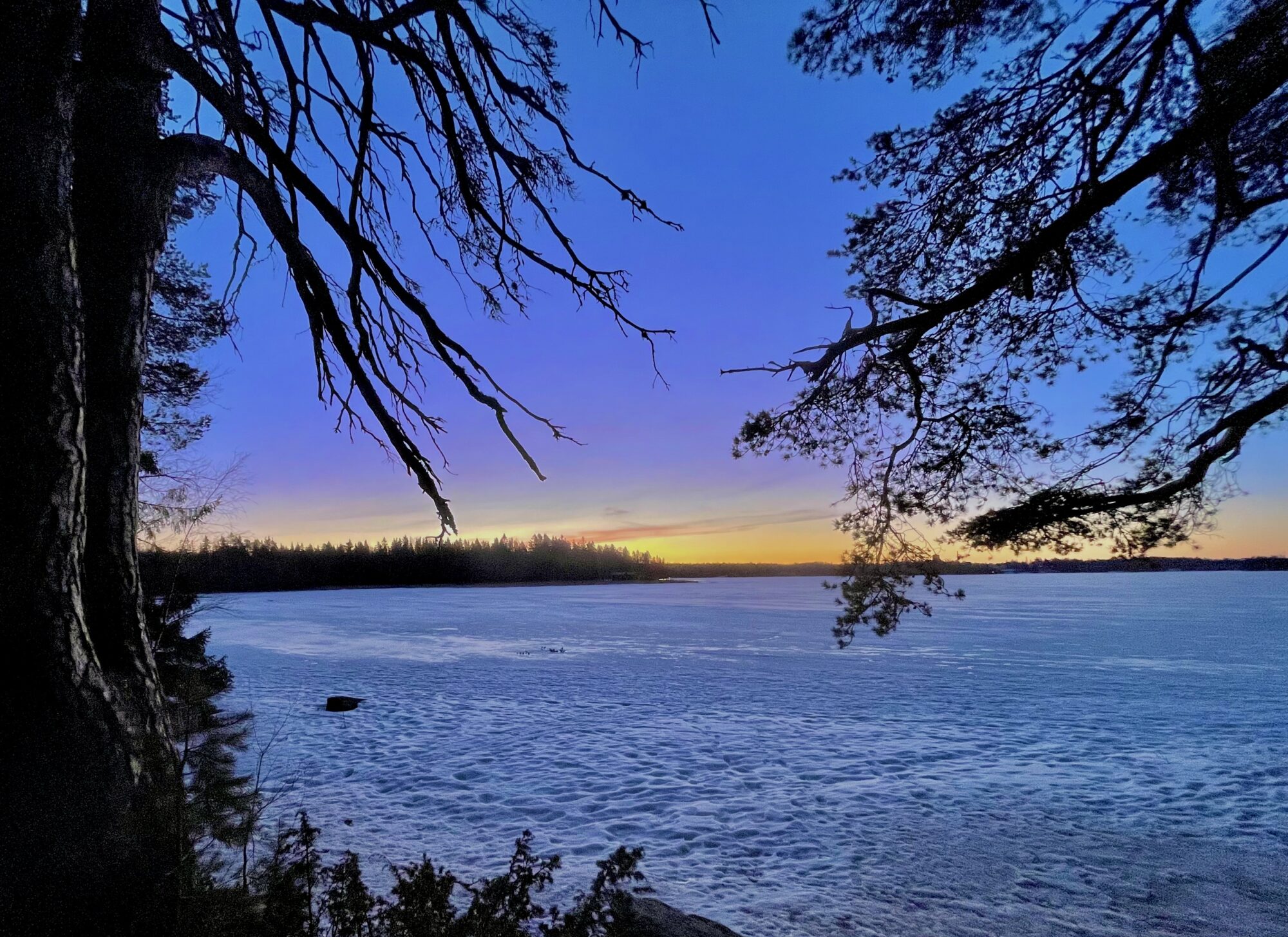 Valokuvaaja: Juhani Peltonen