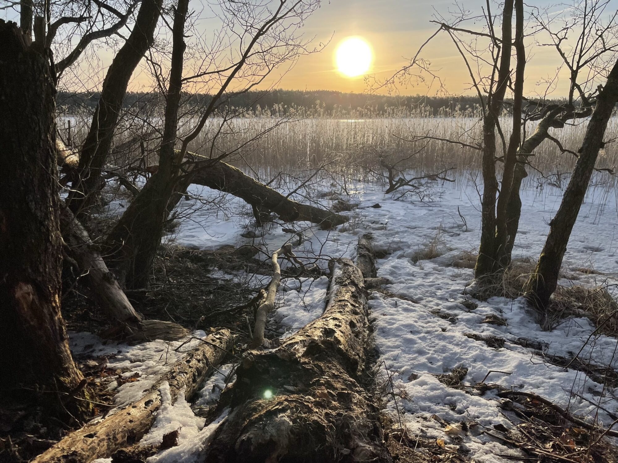 Valokuvaaja: Juhani Peltonen