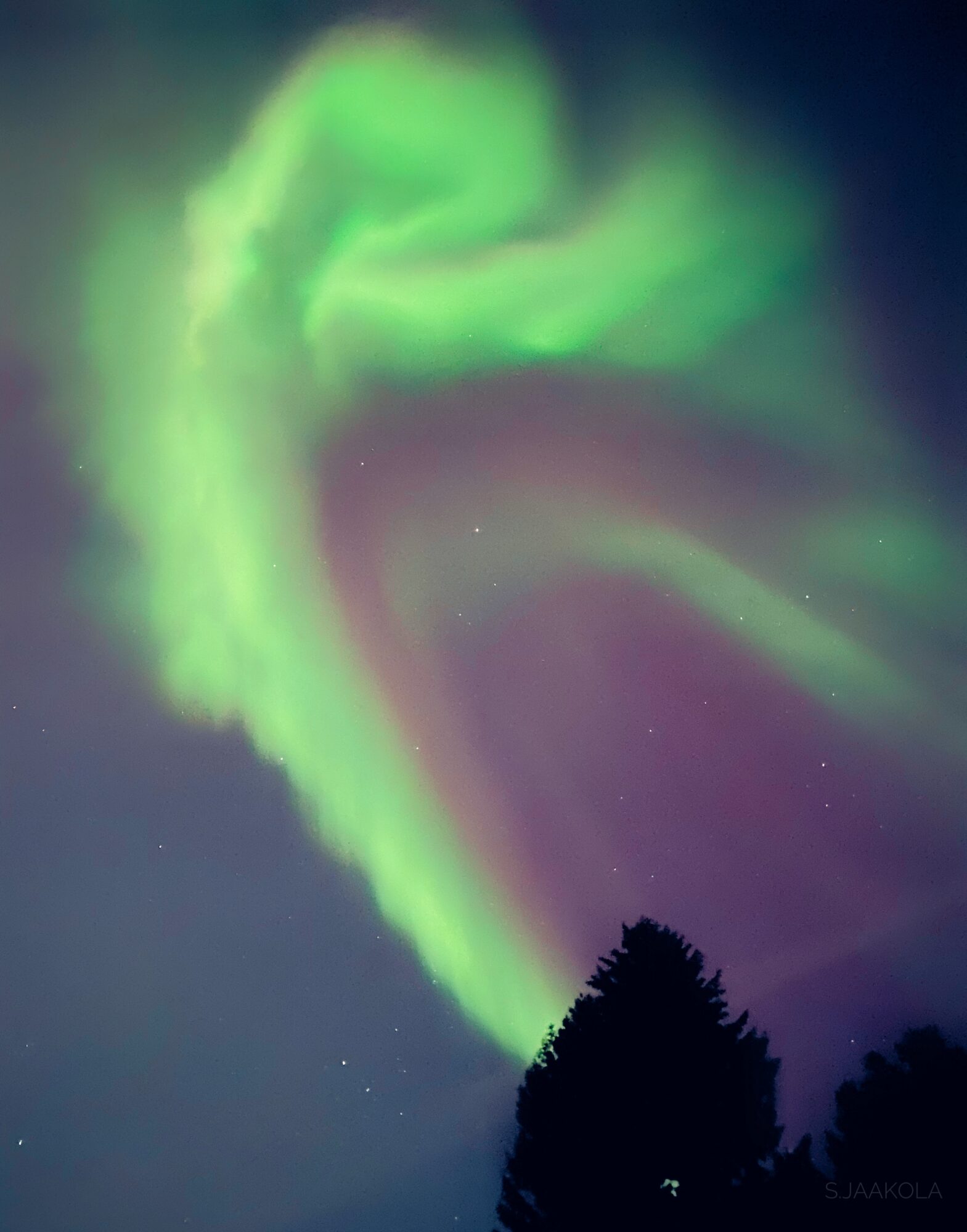 Valokuvaaja: Sonja Jaakola