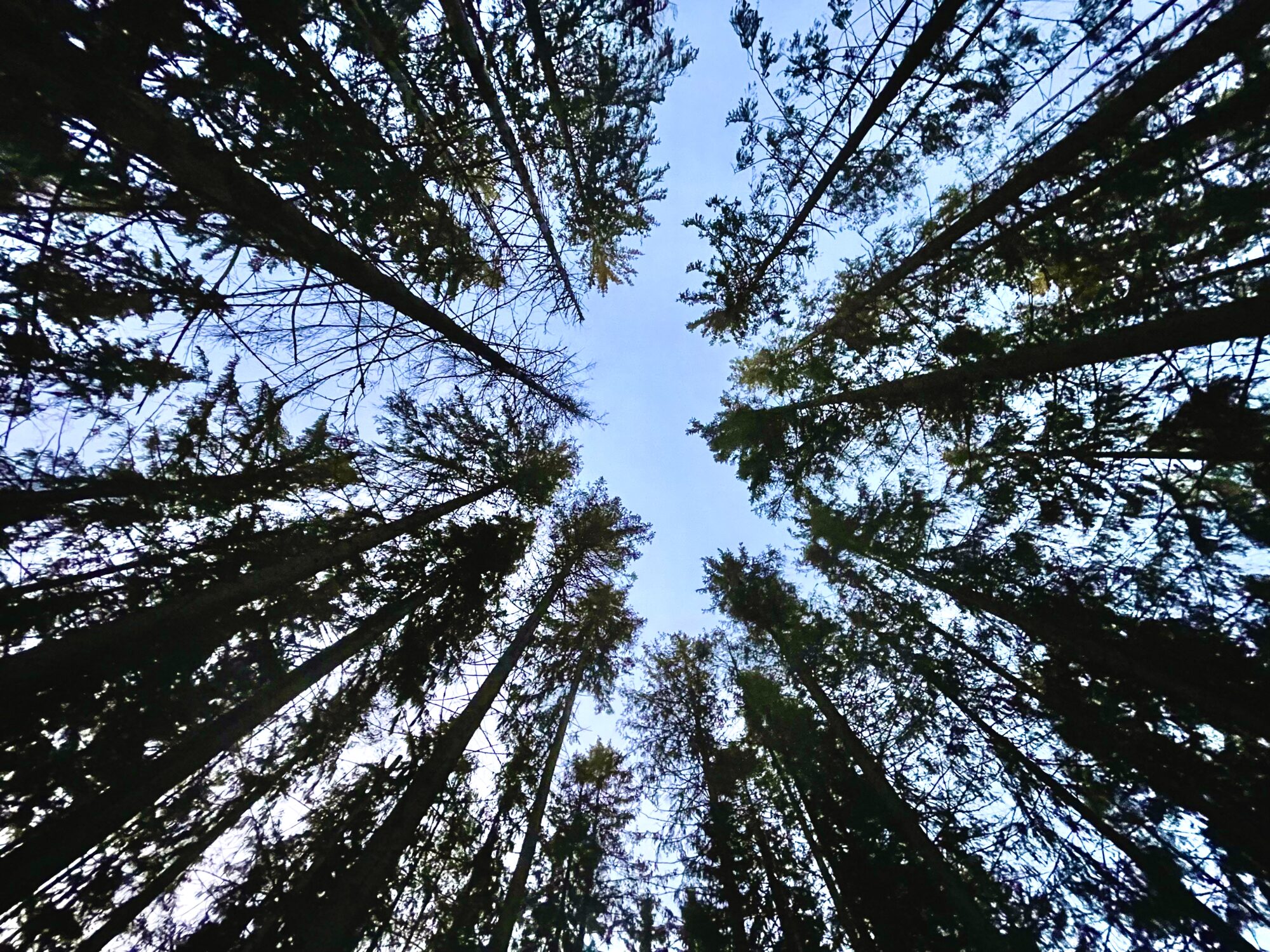 Valokuvaaja: juhani Peltonen