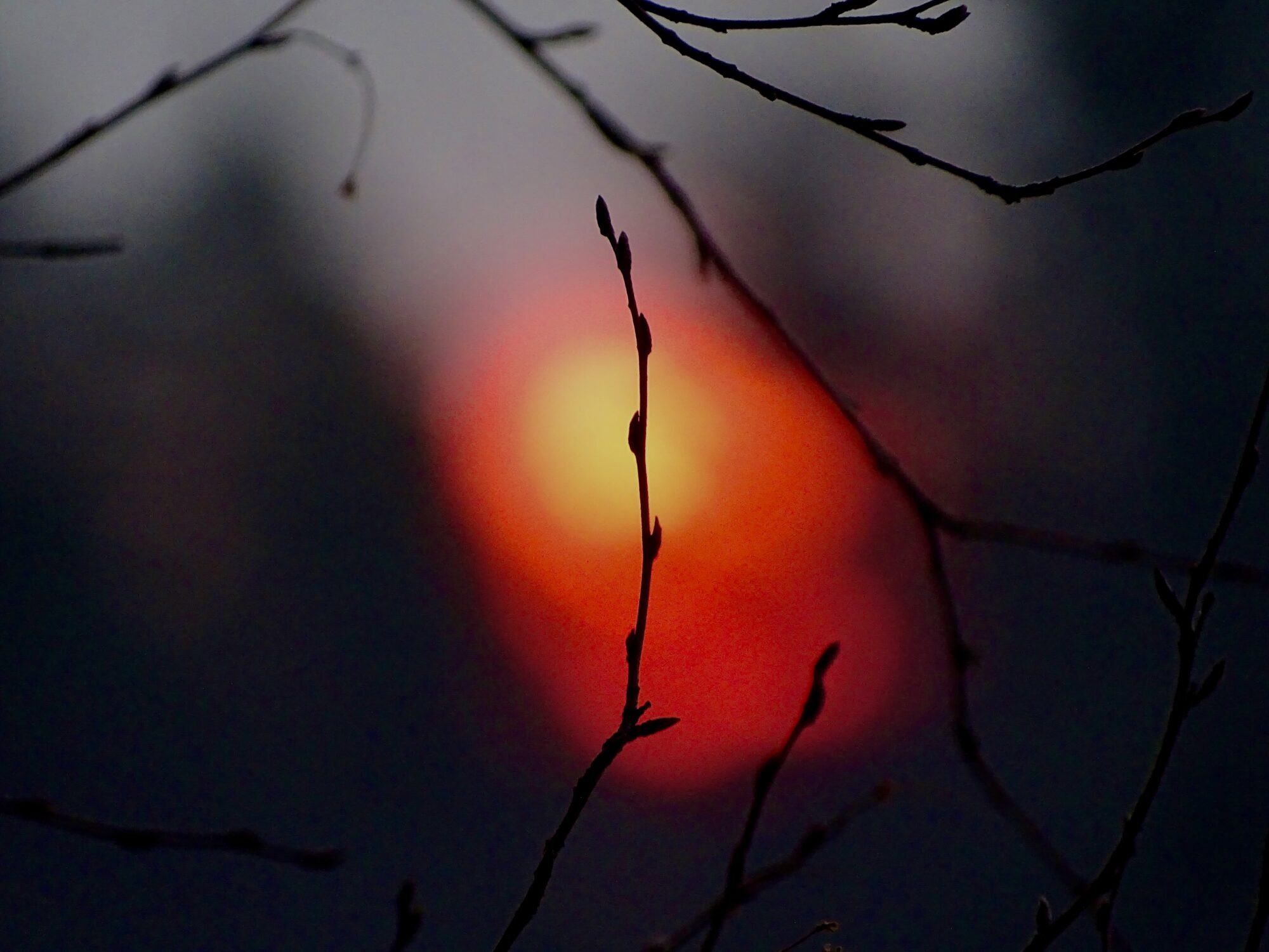 Valokuvaaja: Juhani Peltonen