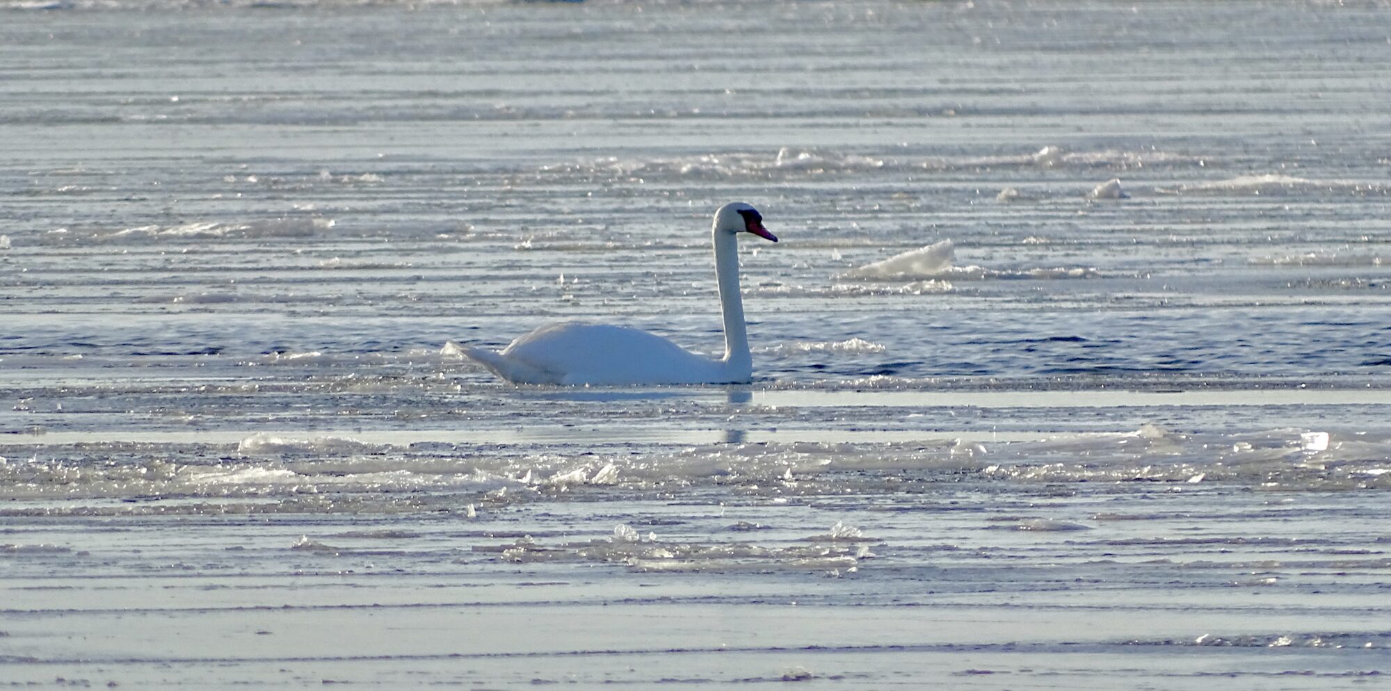 Valokuvaaja: Juhani Peltonen