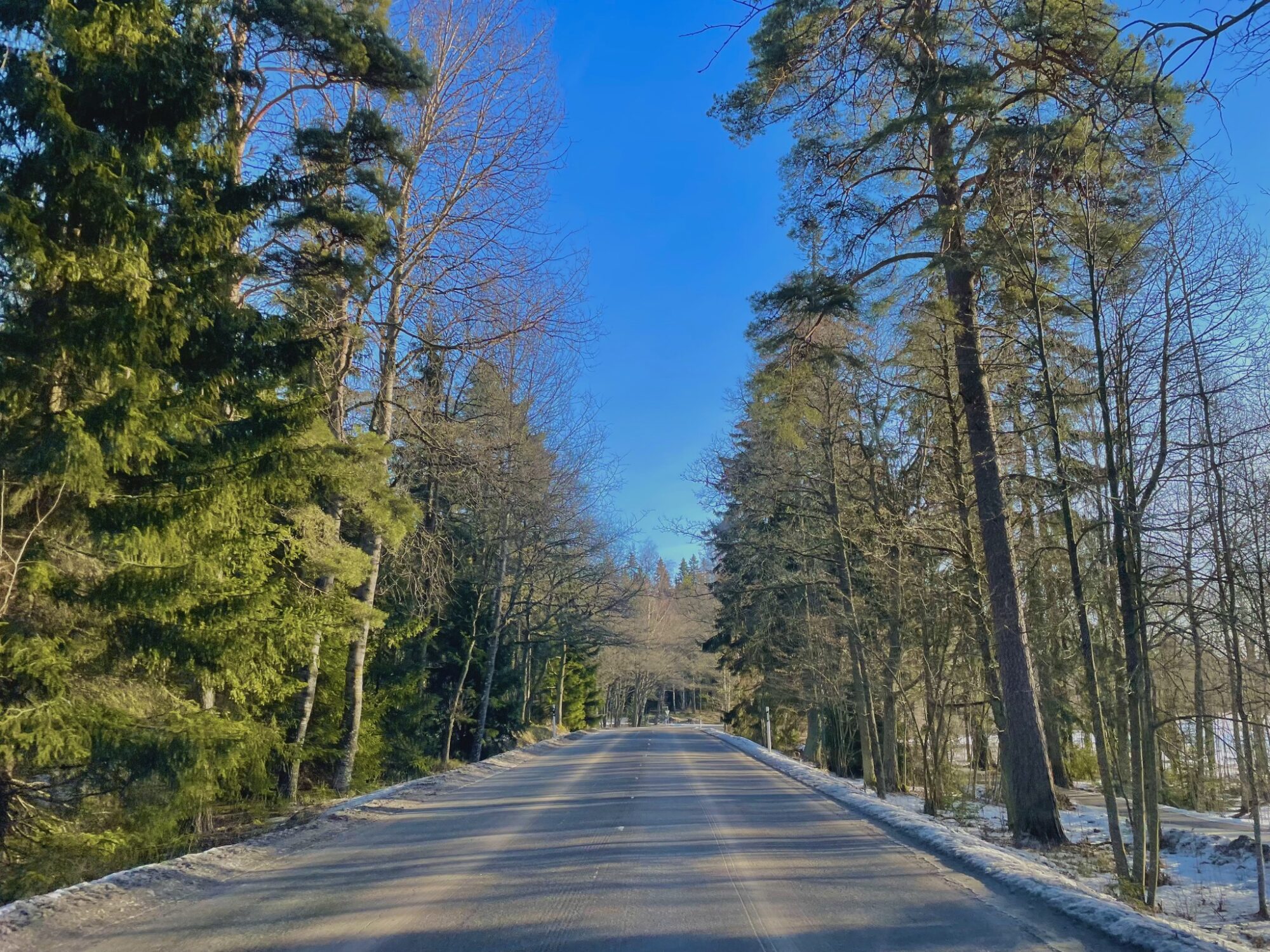 Valokuvaaja: Juhani Peltonen