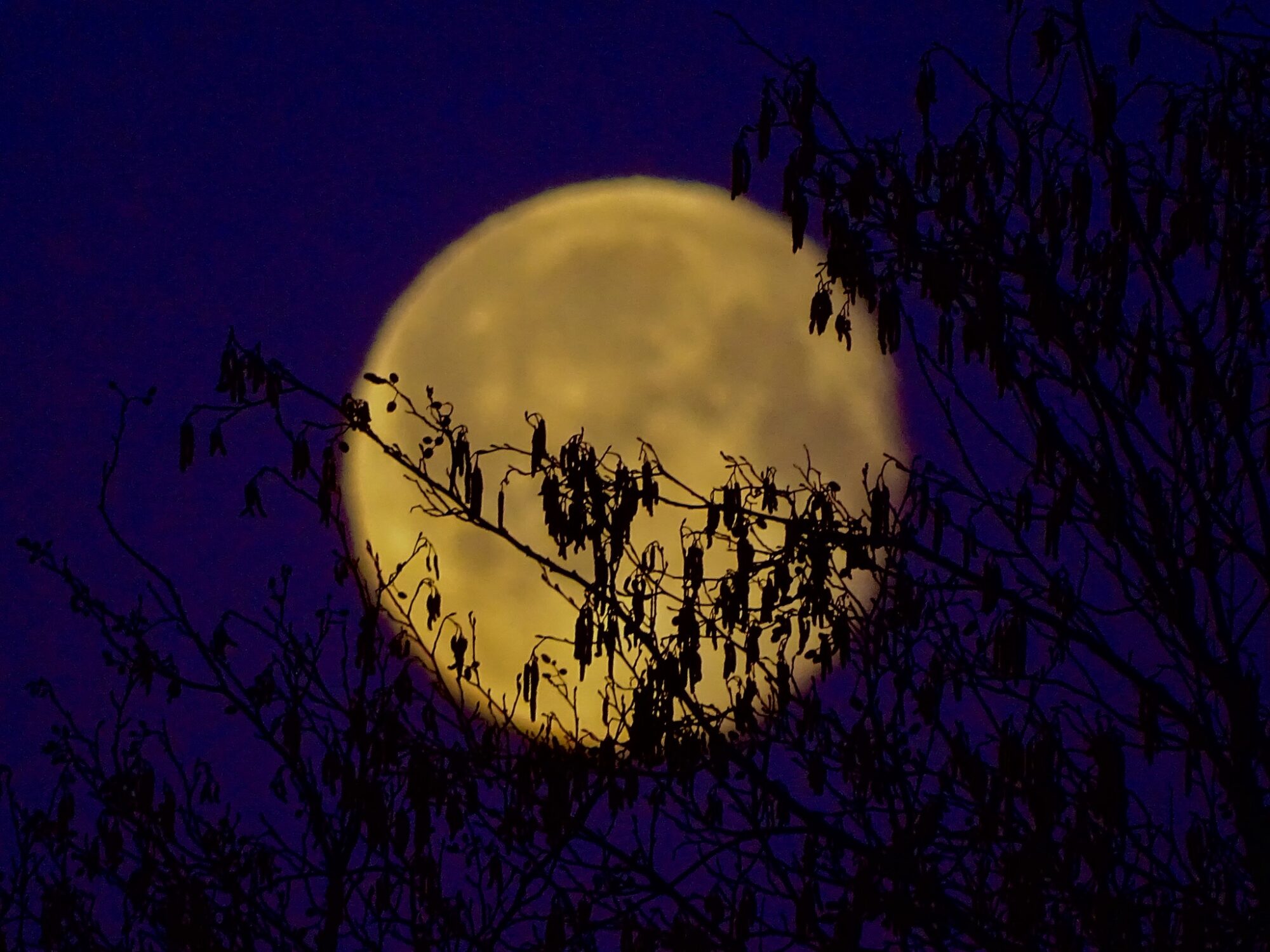 Valokuvaaja: Juhani Peltonen