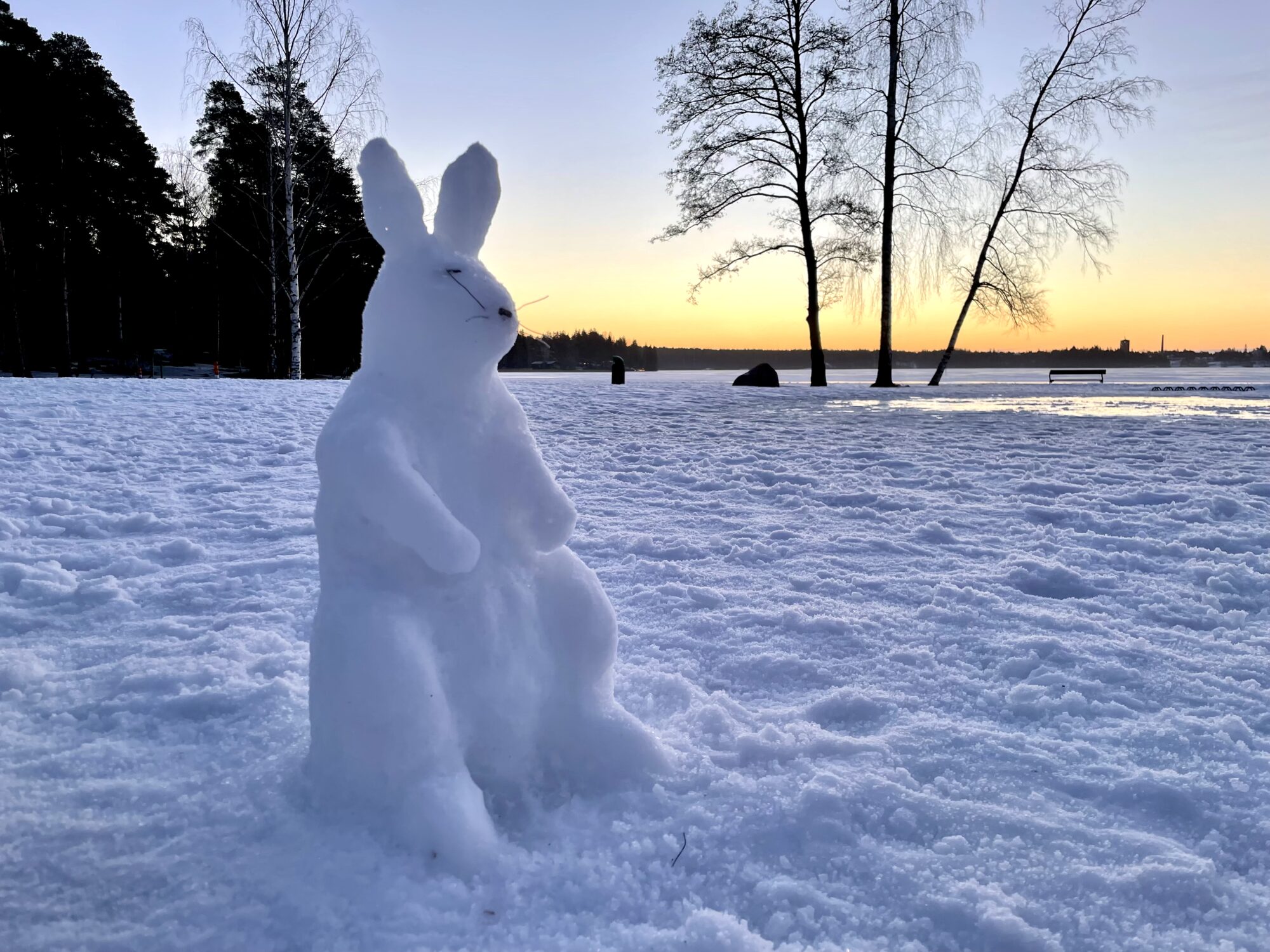 Valokuvaaja: juhani Peltonen