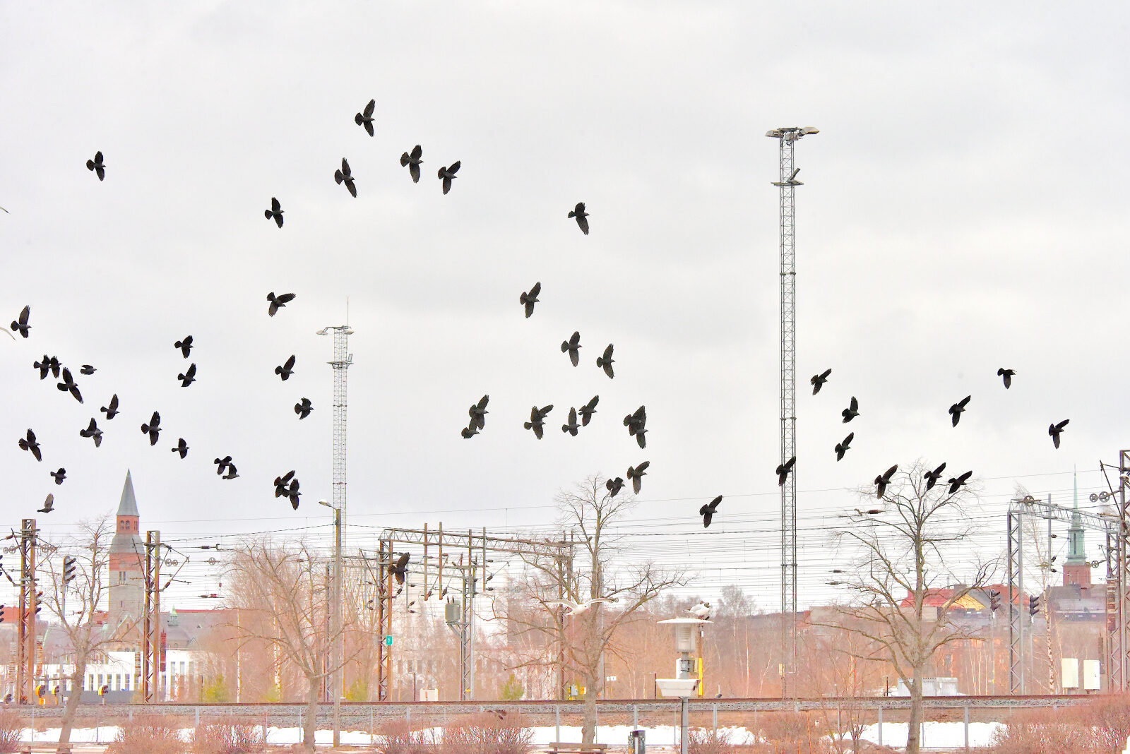 Valokuvaaja: Reijo Juurinen