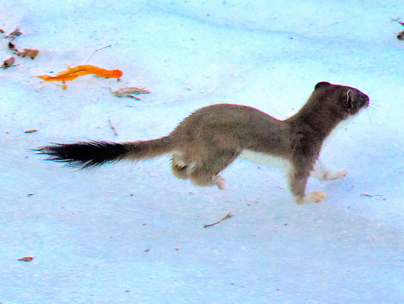 Valokuvaaja: Reijo Juurinen
