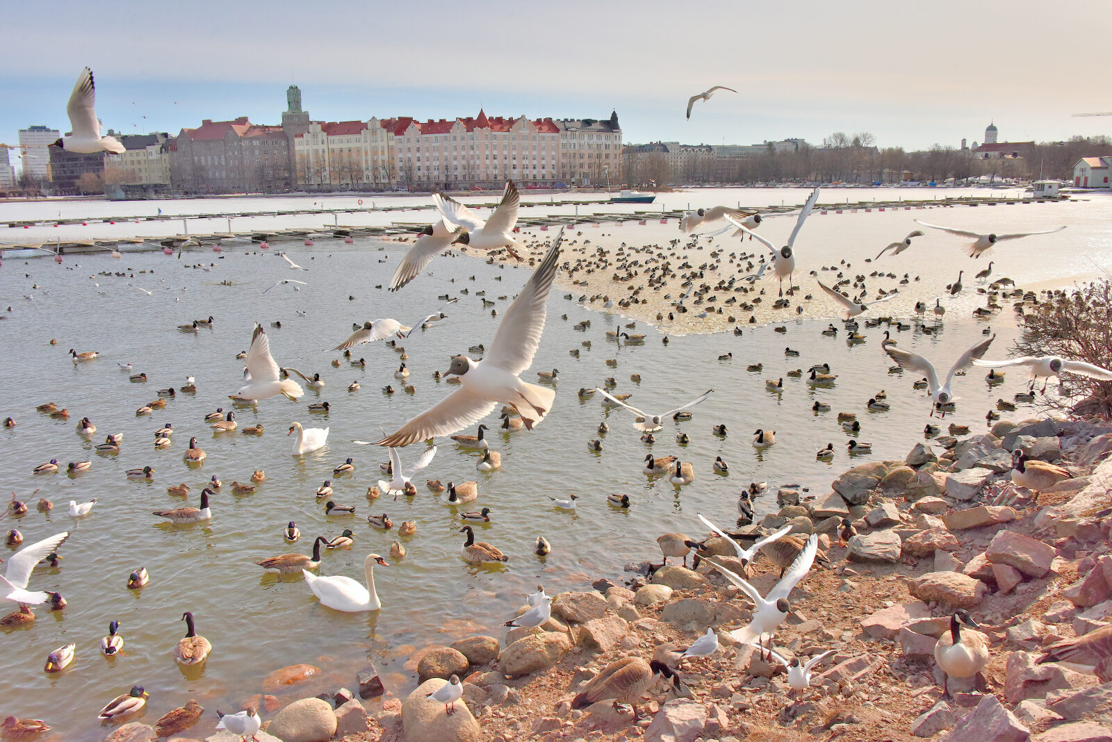 Valokuvaaja: Reijo Juurinen