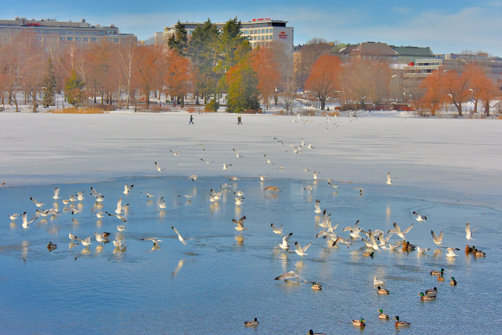 Valokuvaaja: Reijo Juurinen Valokuvaaja: Reijo Juurinen